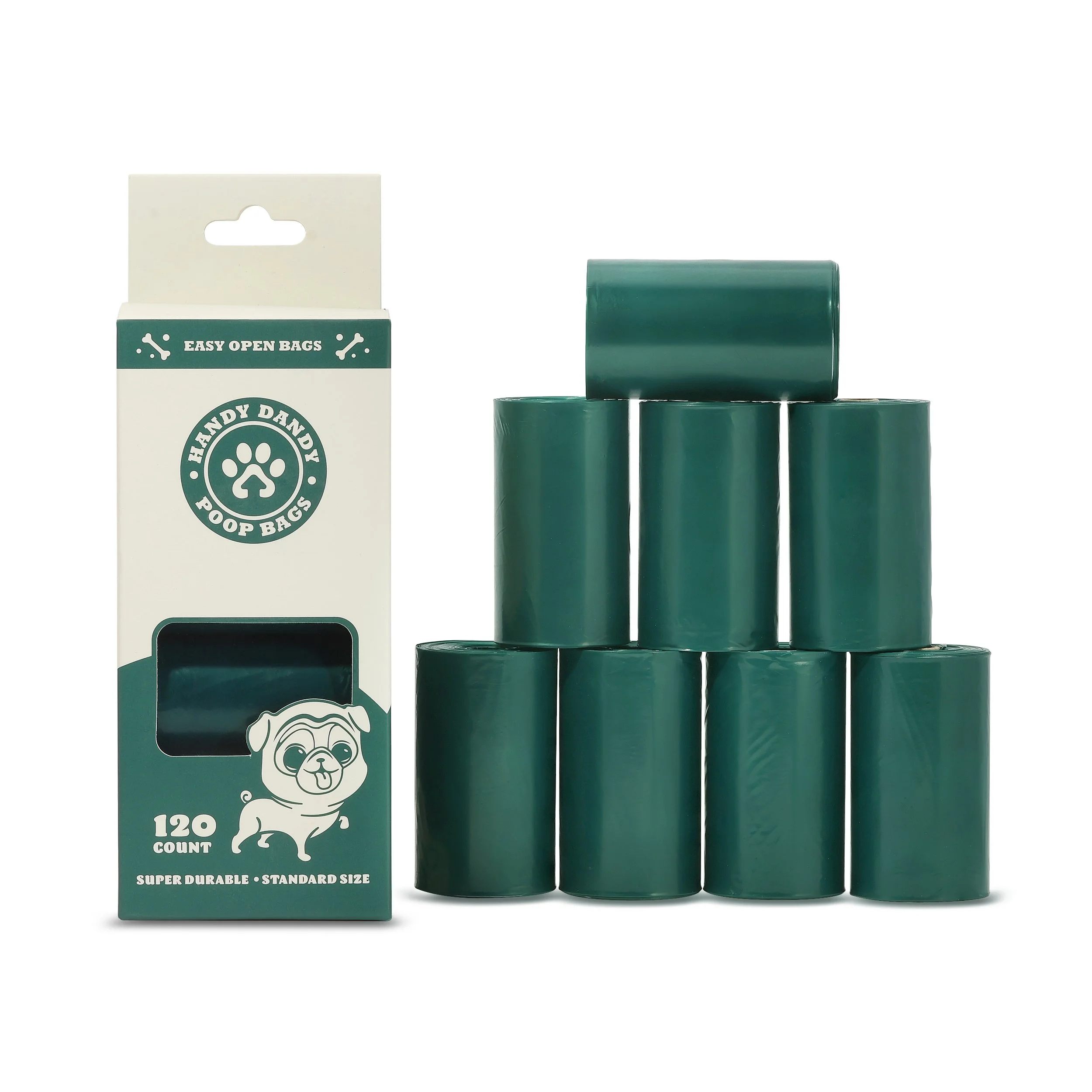 Studio Session-1950.jpg