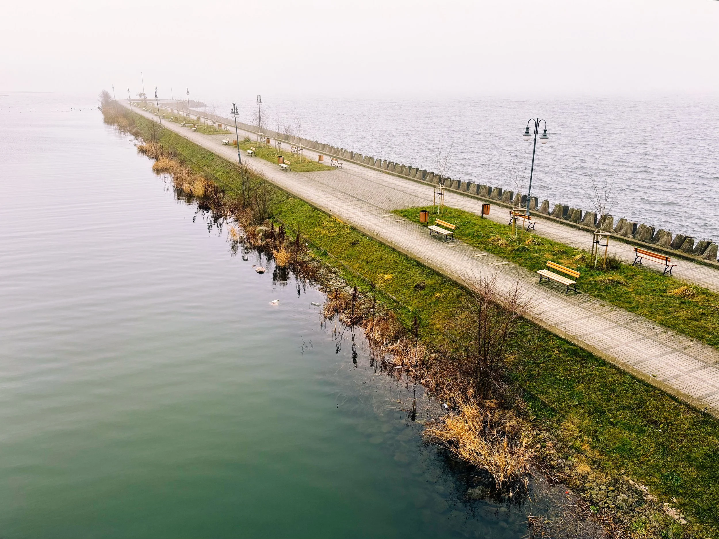 December Discoveries