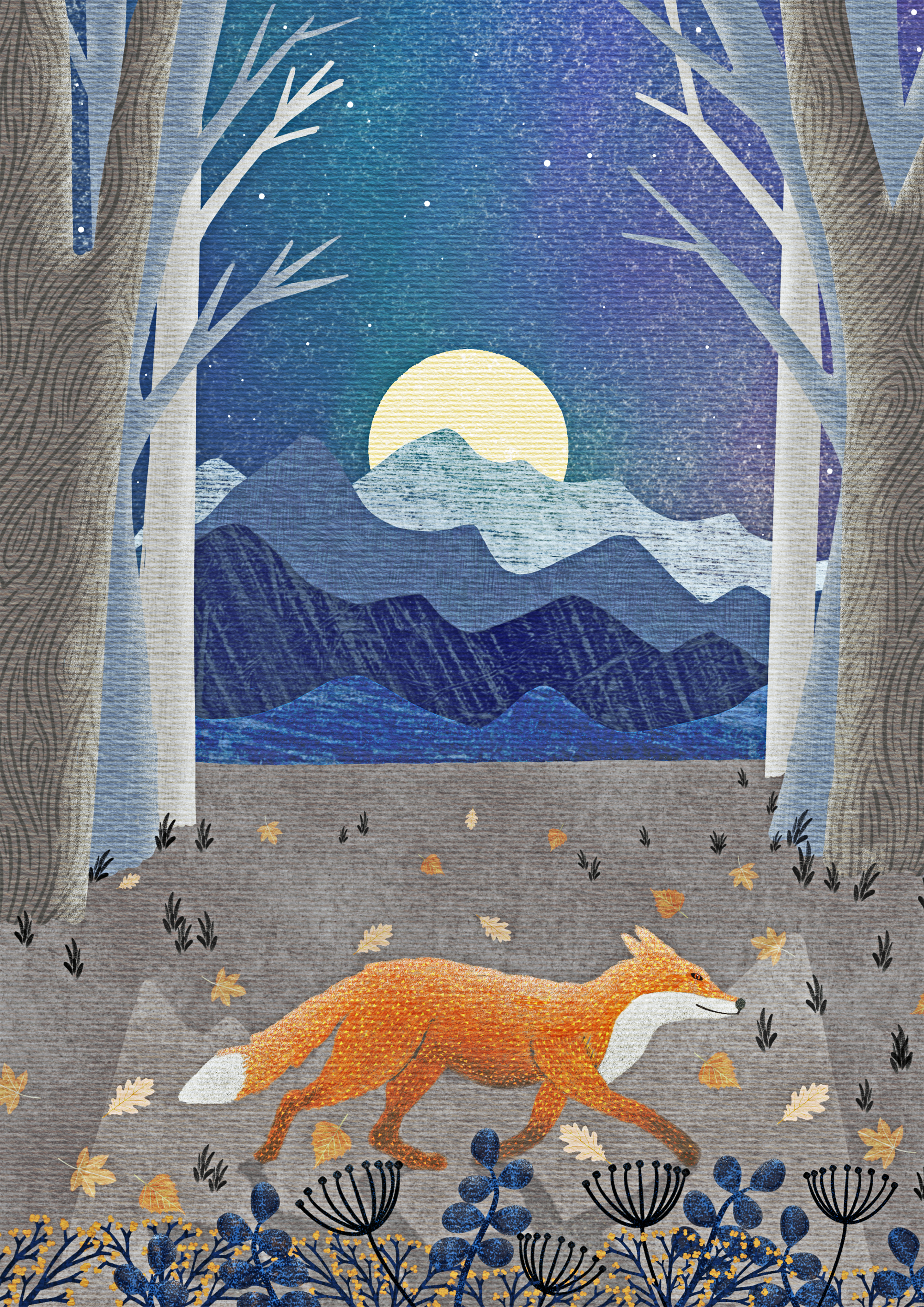 Fox in Sea Wood
Digital