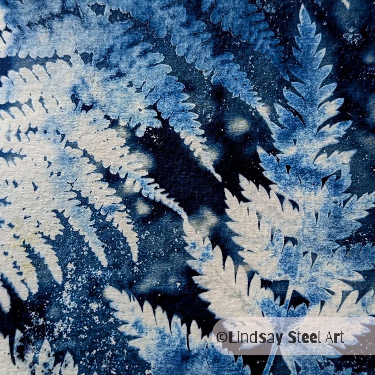 Fern Study 1 - Photogram with salt