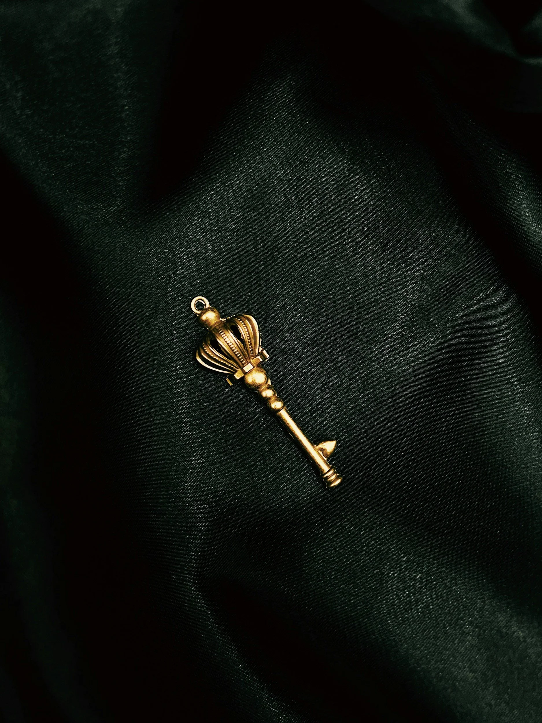 Your Voice is the Key 