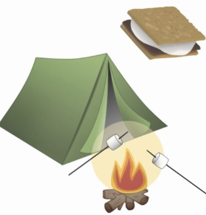 Wild Wednesday - Camping Adventures!
