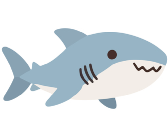 Shark/Fish Sensory Bins!