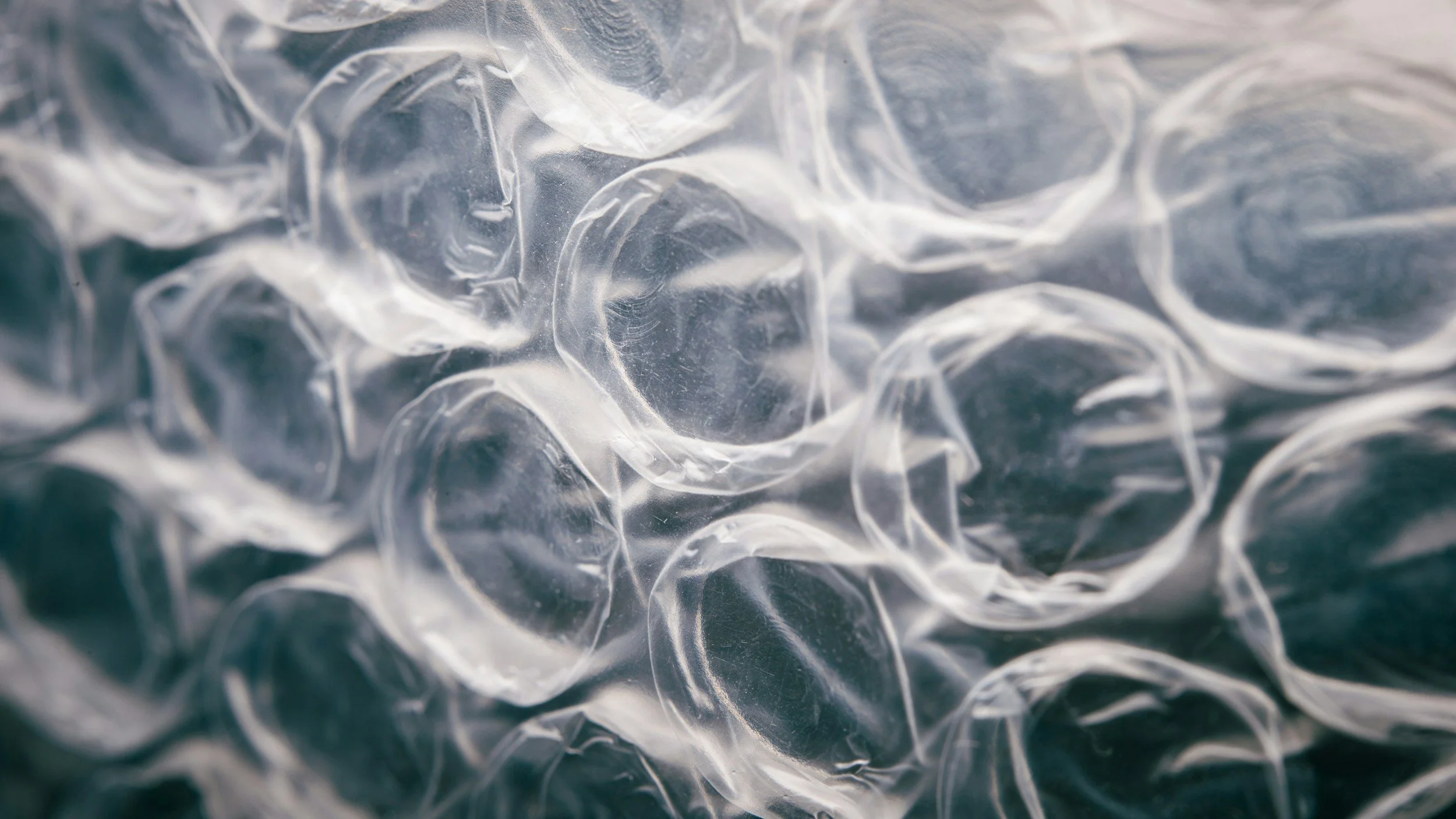 Bubble Wrap Painting