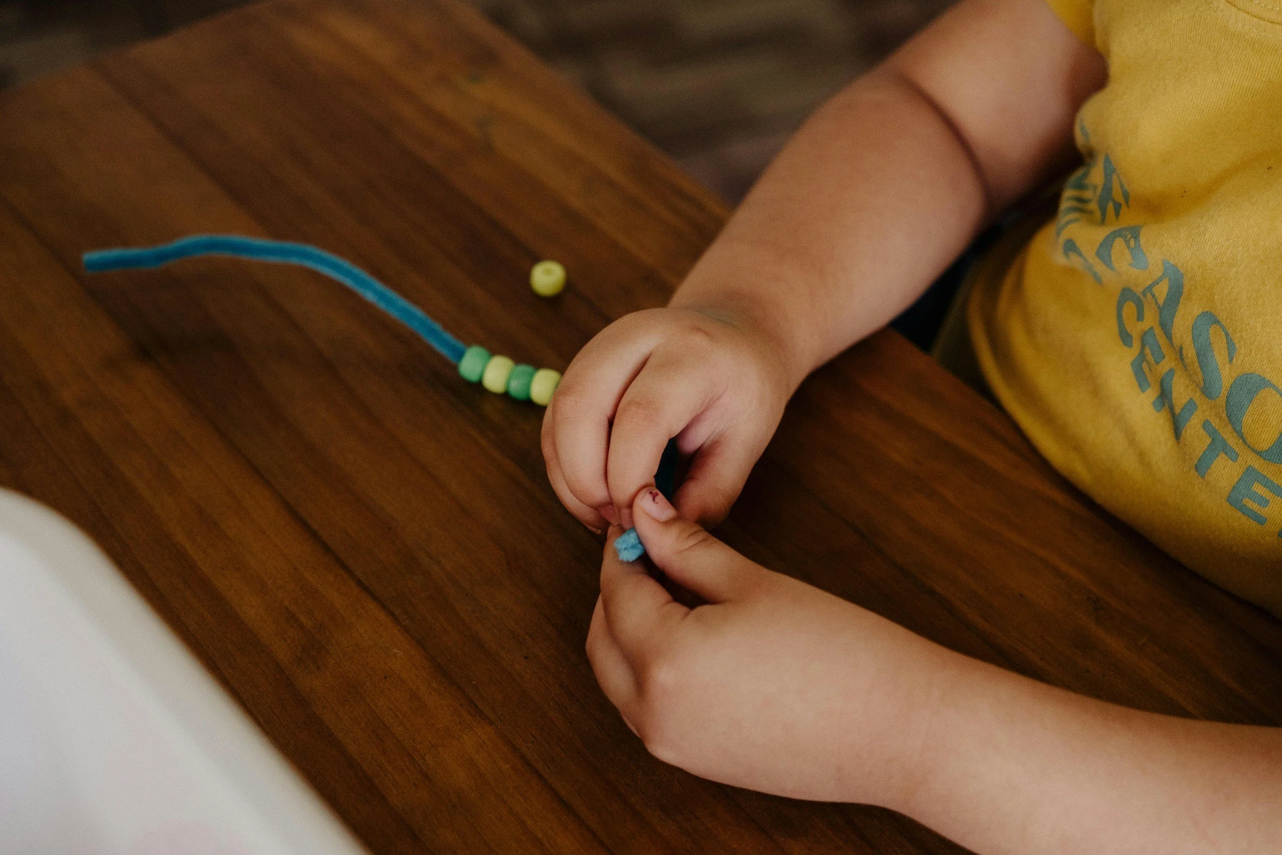 Low Prep for Littles:  Pipe Cleaner Play Lab! with Alisa Doshi, OT