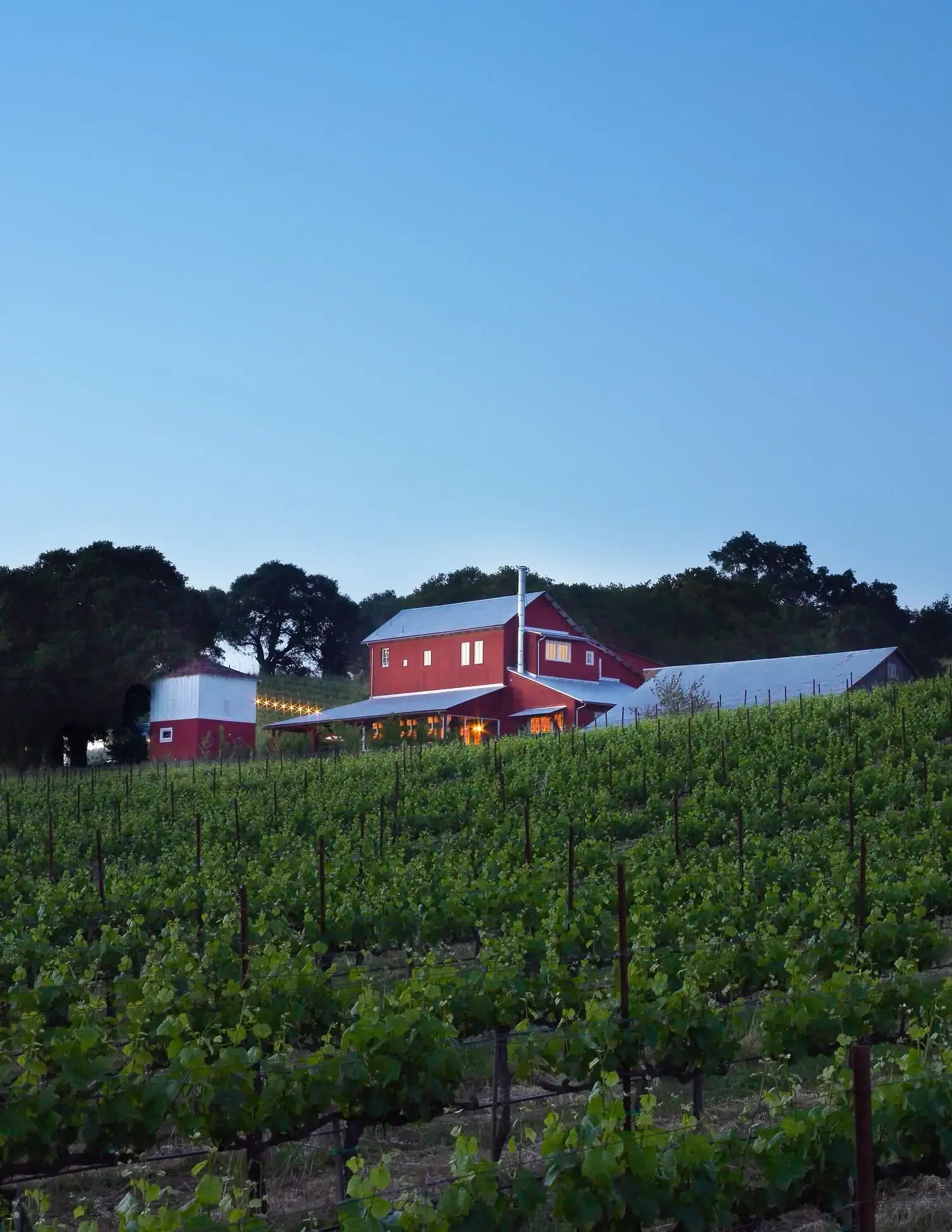 Carneros-Project3.webp