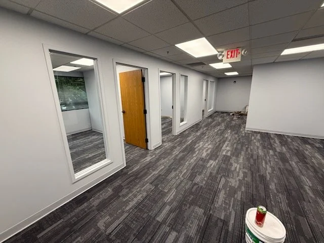 Paradigm Properties