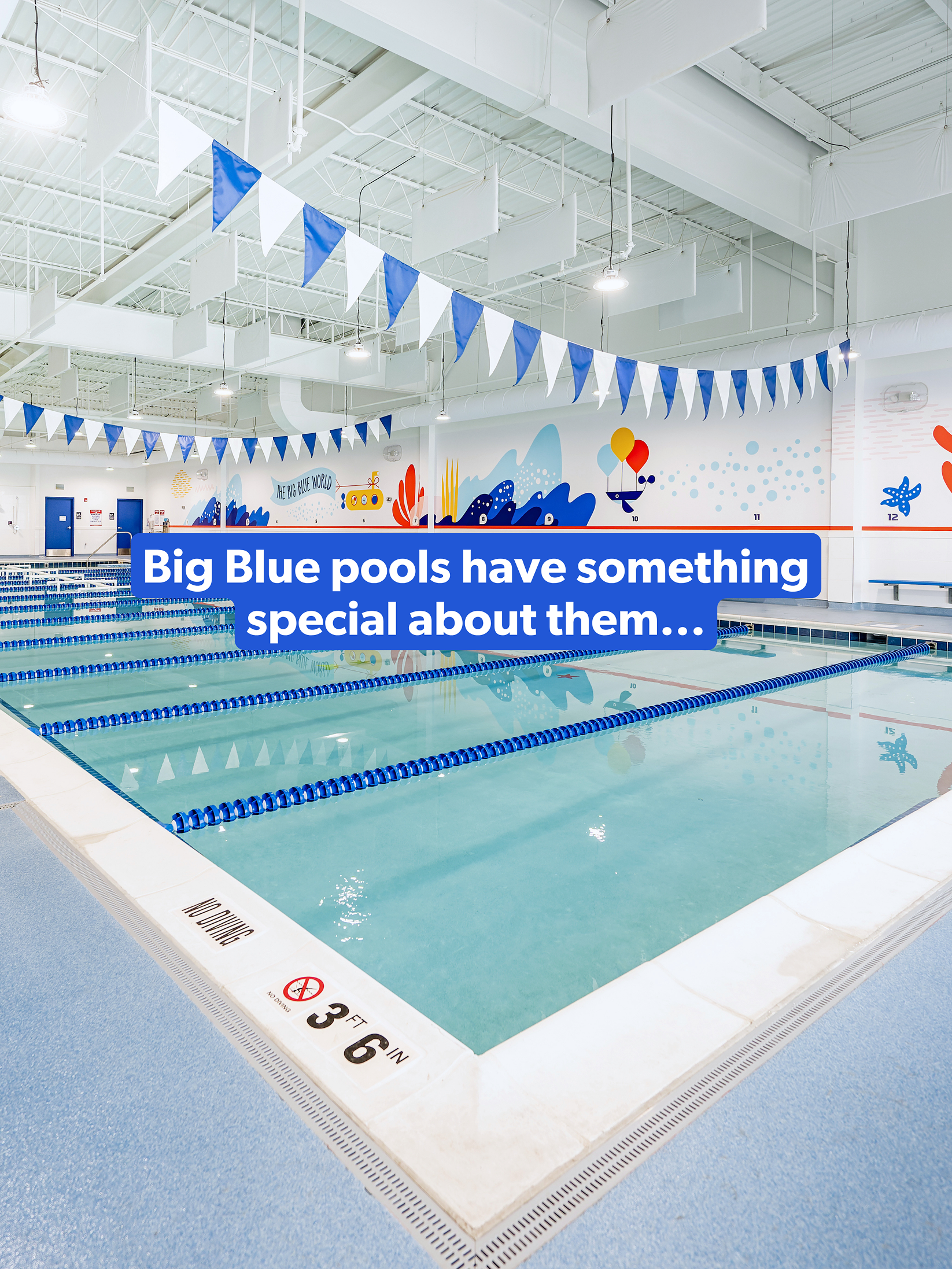Indoor swimming pool with blue and white triangular flags hanging from the ceiling. The pool has lane markers and a depth marker indicating 3 feet 6 inches. The surroundings are clean and brightly lit with a mural on the wall that includes a submarine, balloons, and marine-themed decorations, labeled "The Big Blue World."
