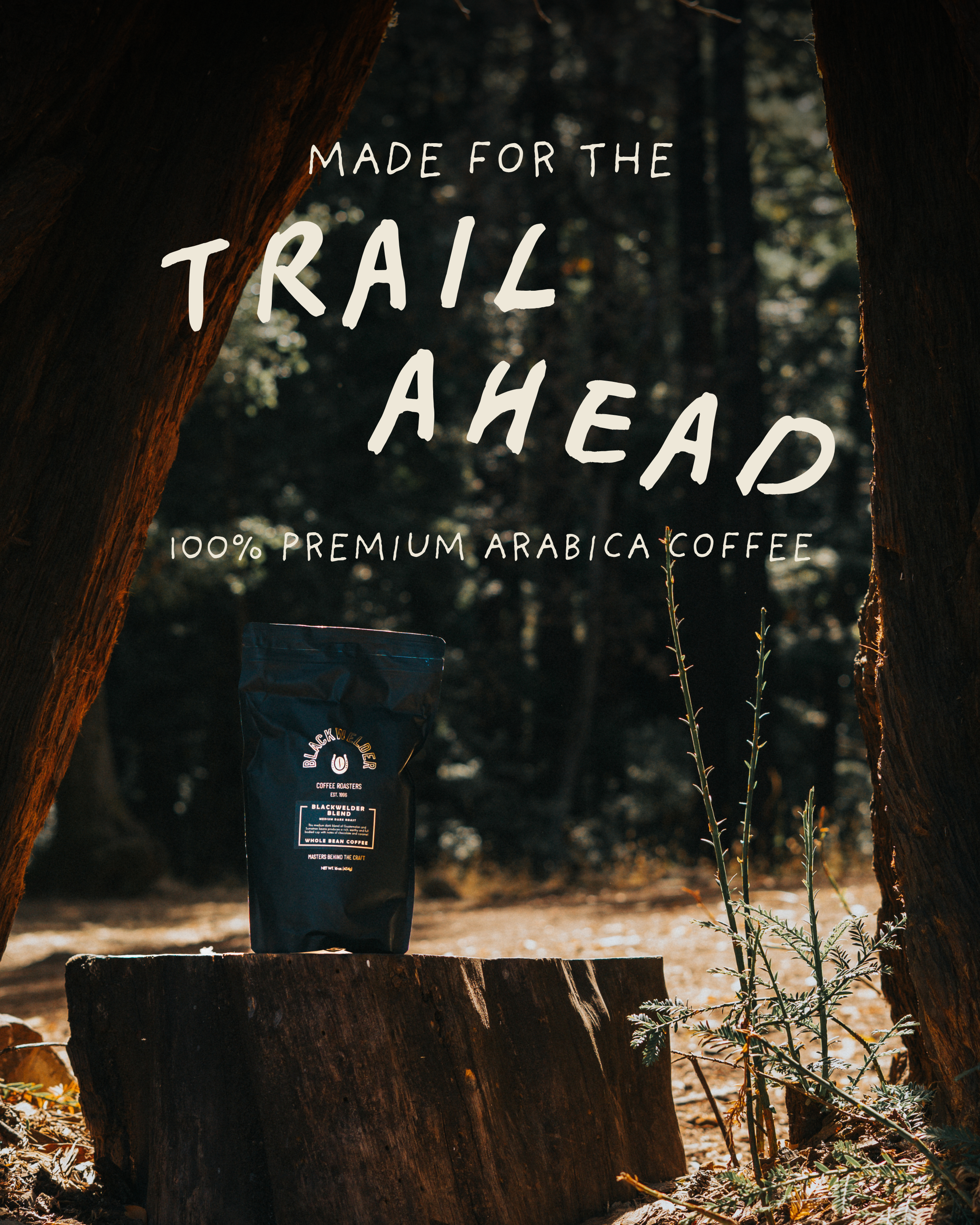 A bag of BlackWelder coffee resting on a wood stump in a forest with trees and sunlight in the background.
