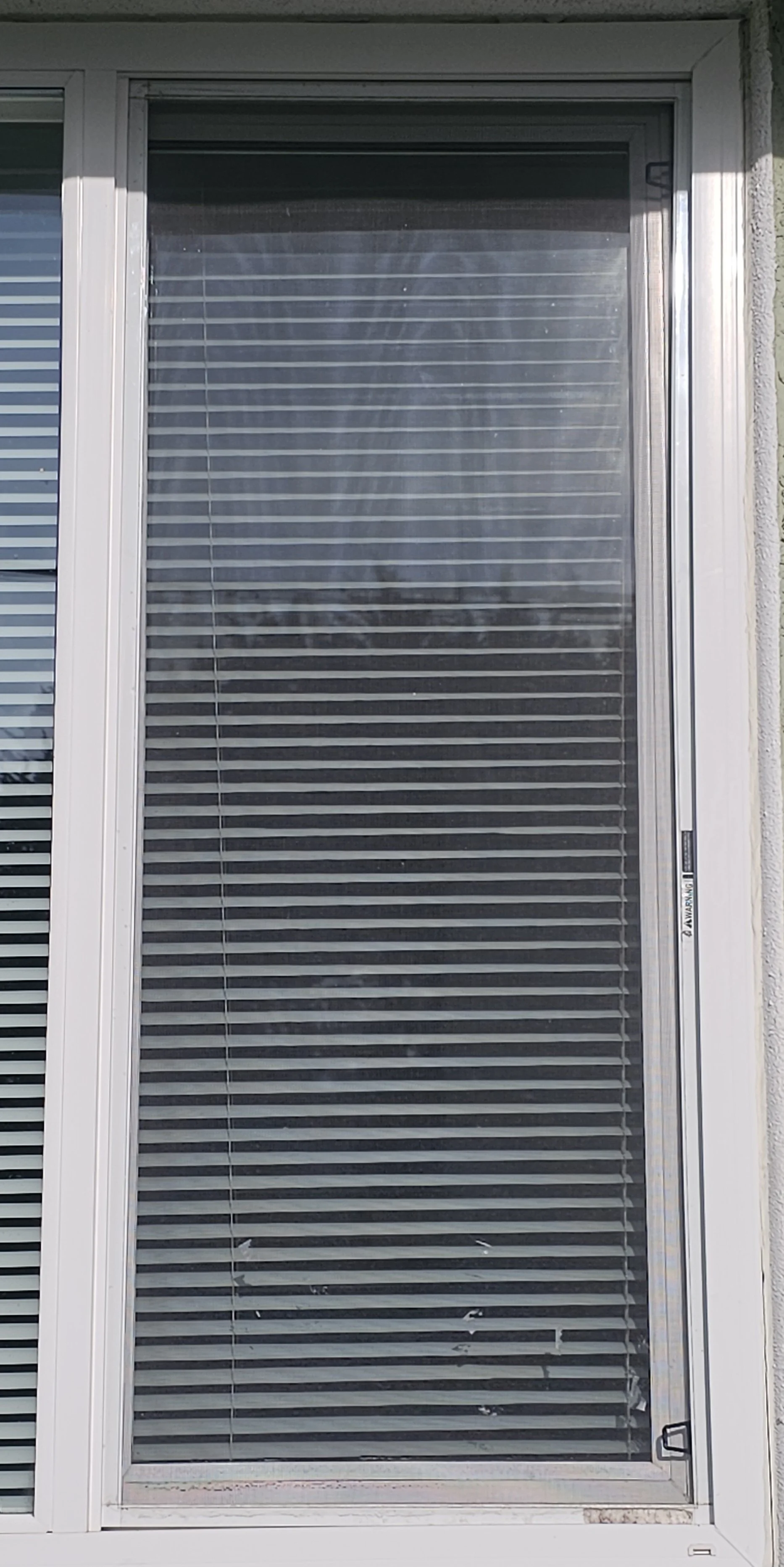 Custom window screen 