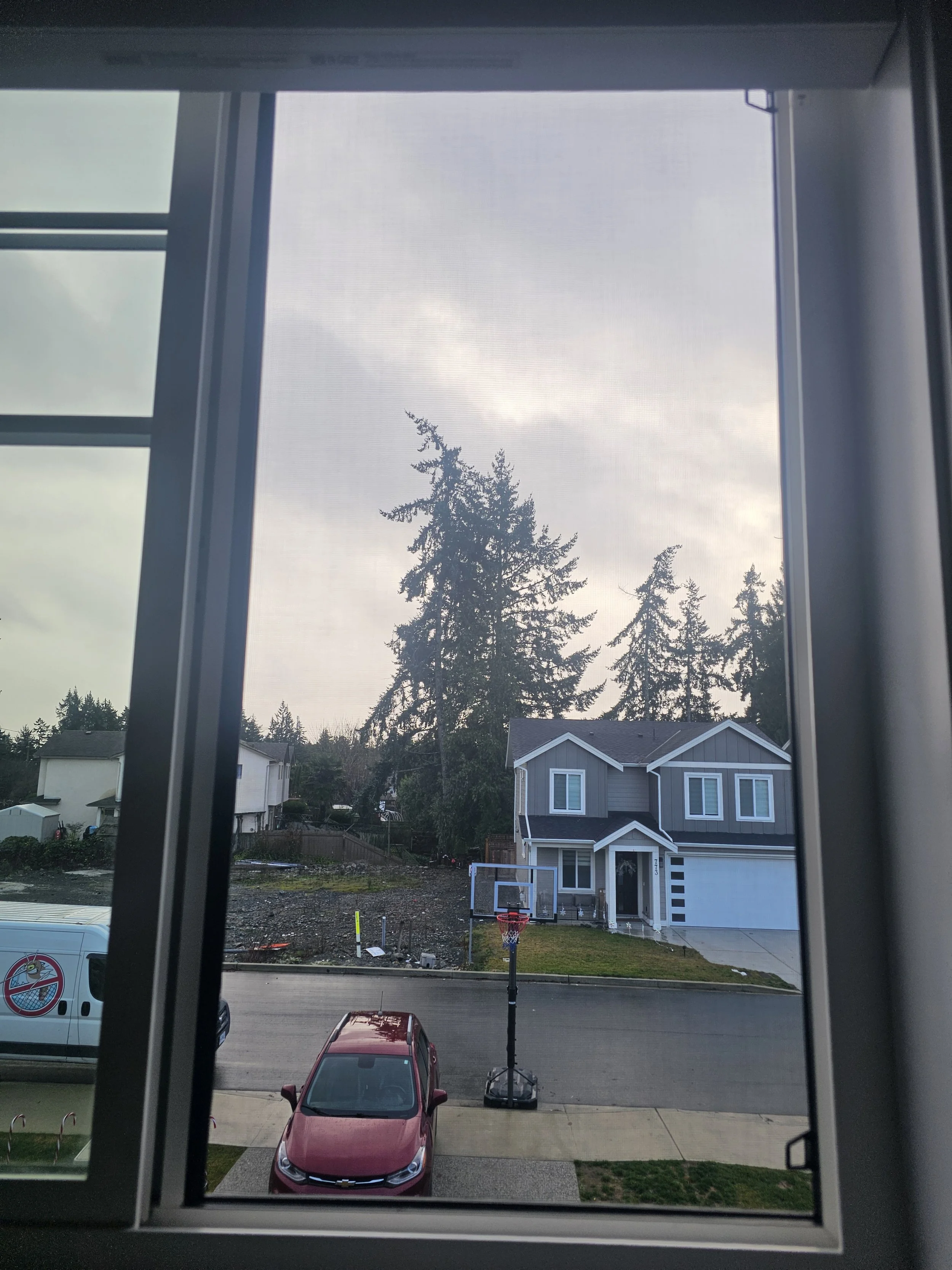 Custom window screen for a home in Langford