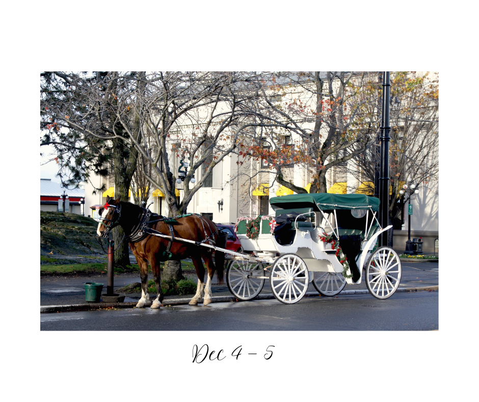 Carriage Rides