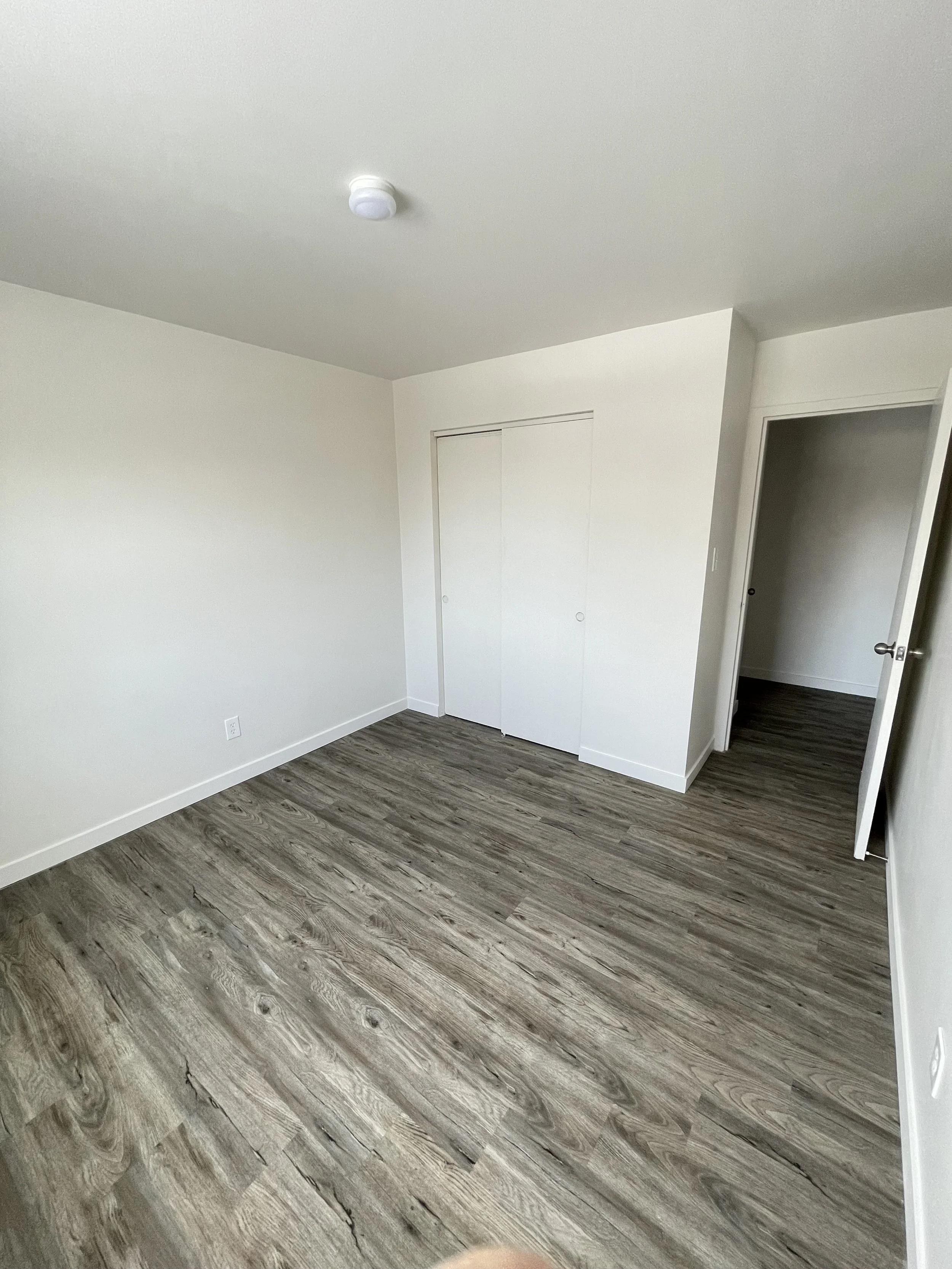Empty room with white walls, wood-like flooring, a closed closet door, and an open door leading to another room.