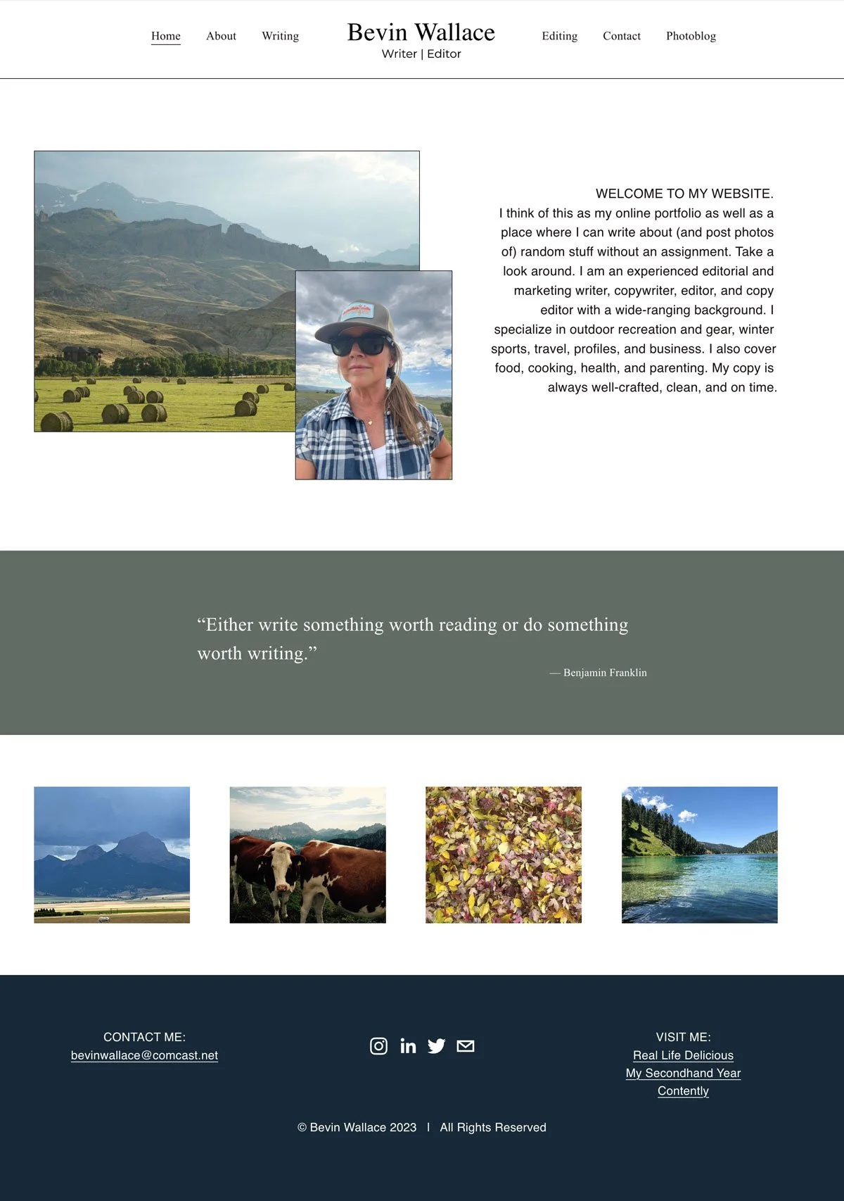 Bevin-Wallace-Website-Screenshot copy.jpg