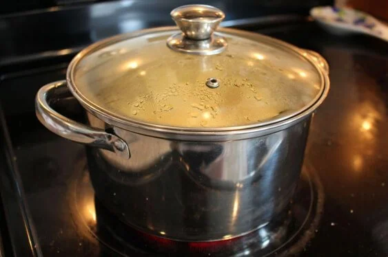 pot of cut apples on stove