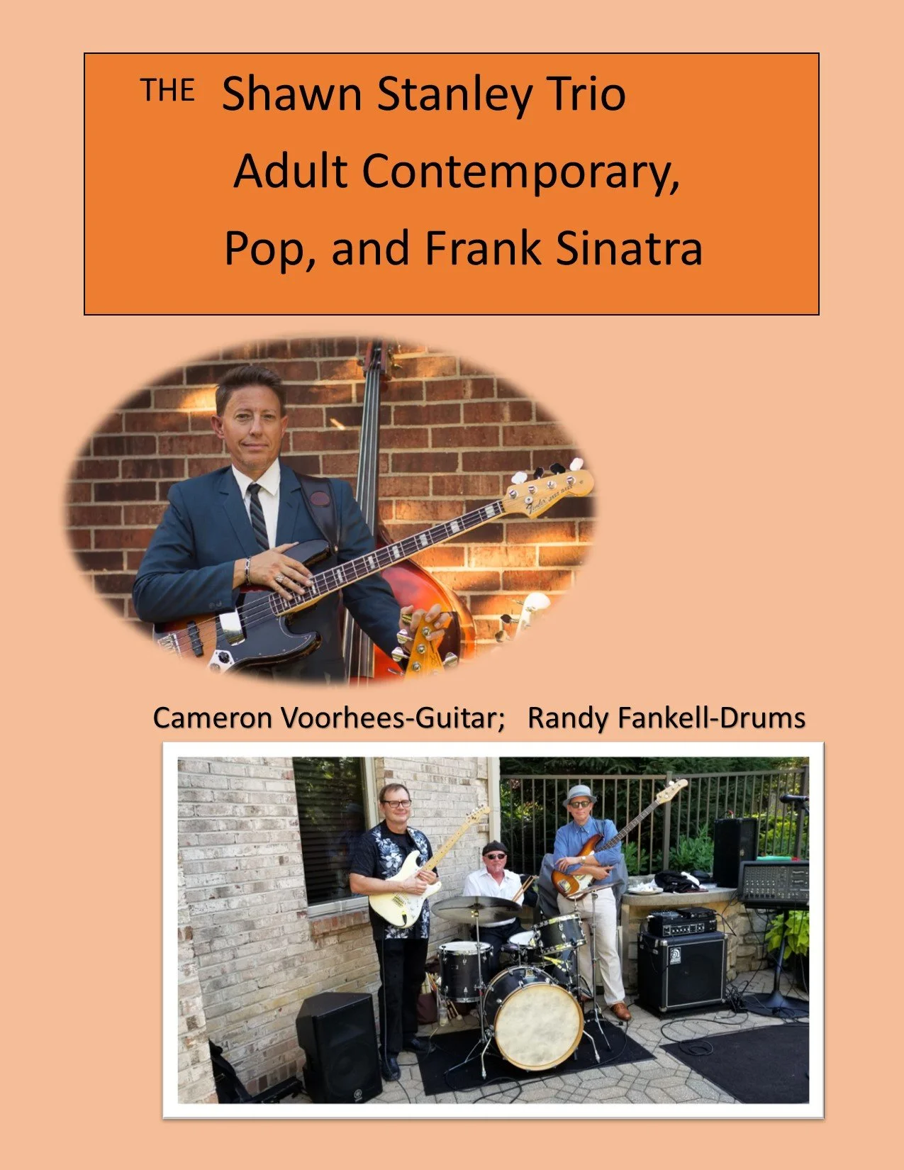 Live Music from Shawn Stanley Trio