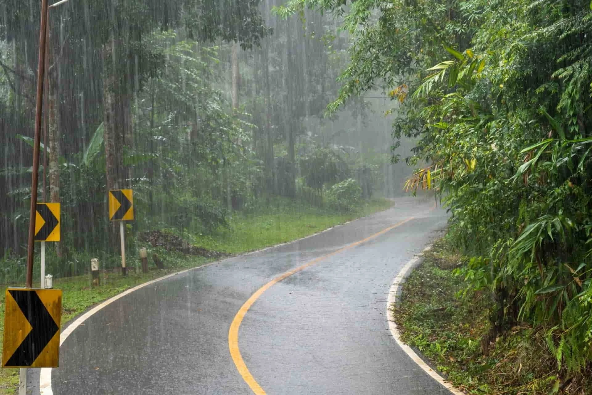 I-40 to Downtown: Your Tires &amp; Wilmington’s Wet Roads