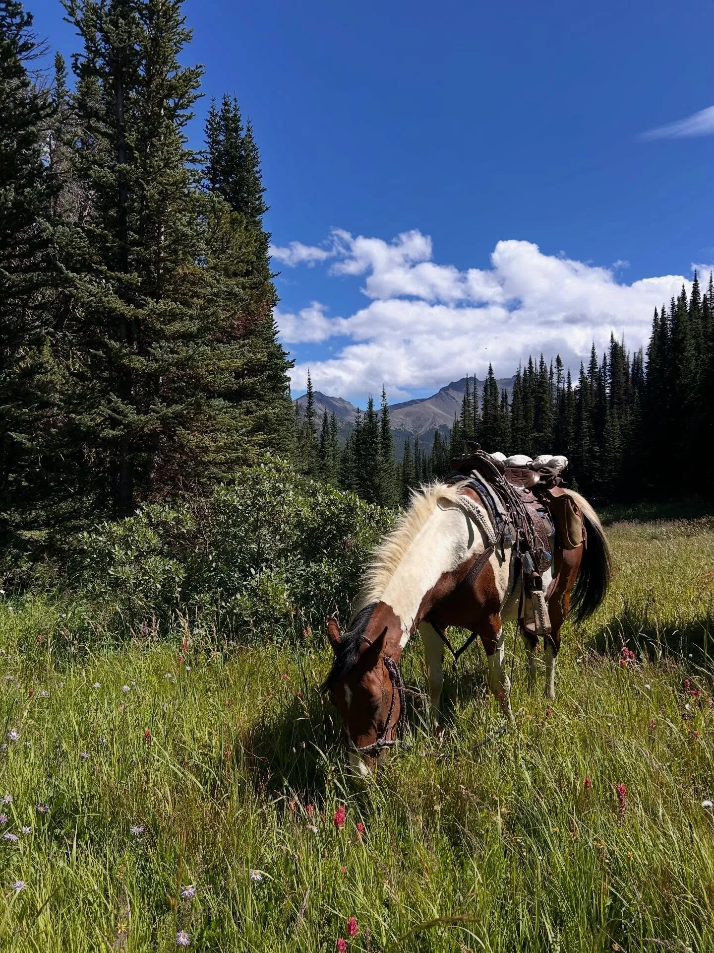 few impressions from the Explorer Trip &ndash; perfect for riders looking for a more challenging adventure, with packing up camp every day (except for one spot where we&rsquo;ll stay for 2 nights).

This year brings a few changes: we&rsquo;ll be ridi