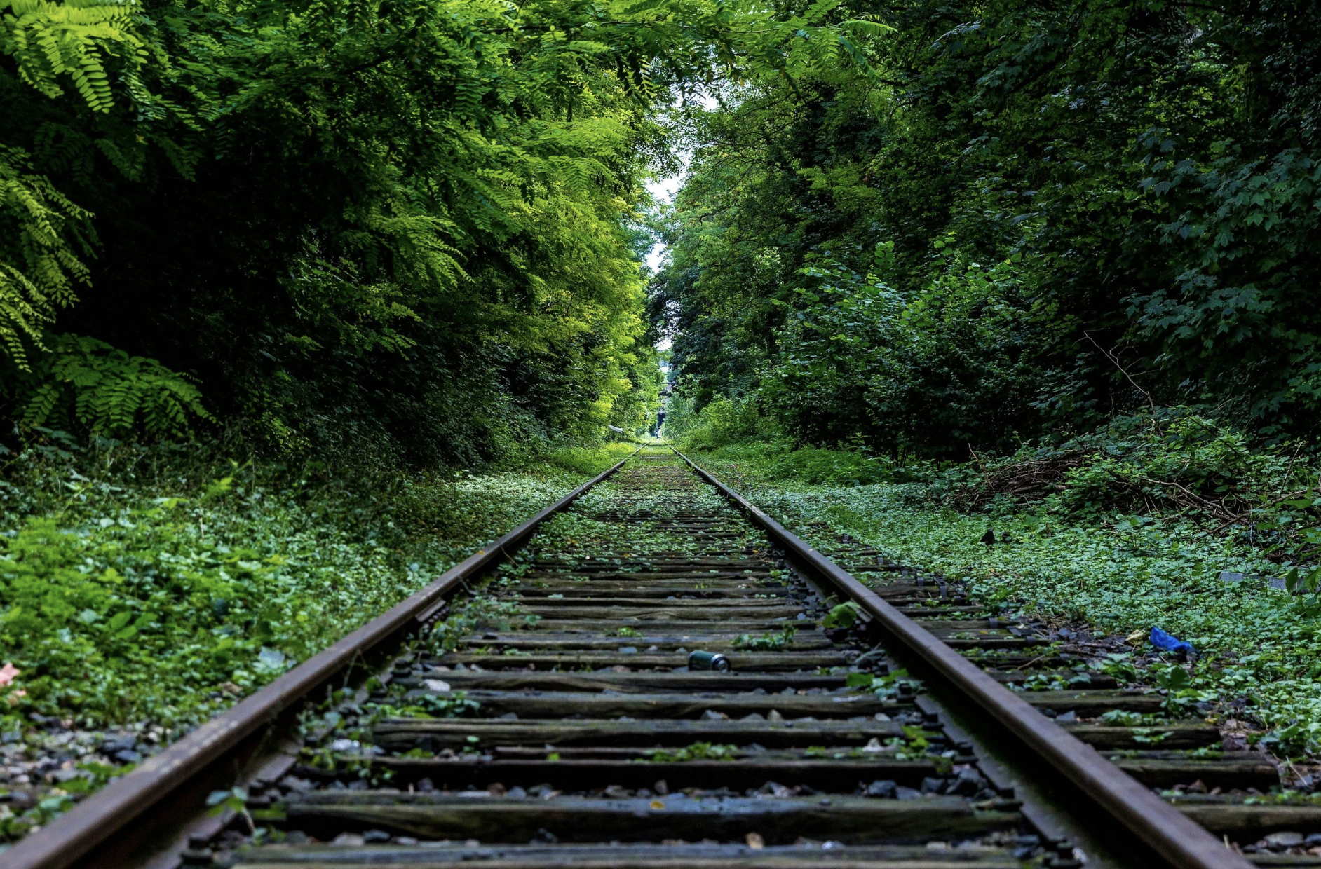 Newsletter [Jan 11 - Jan 17] 