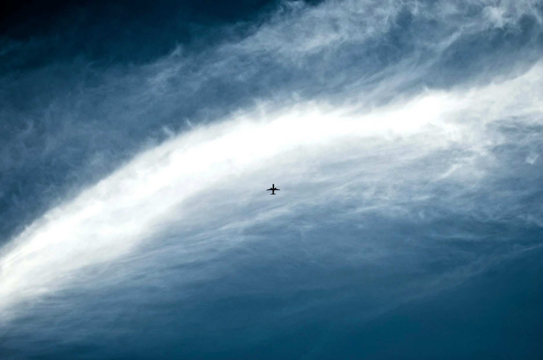 Newsletter [Jan 18 - Jan 24]