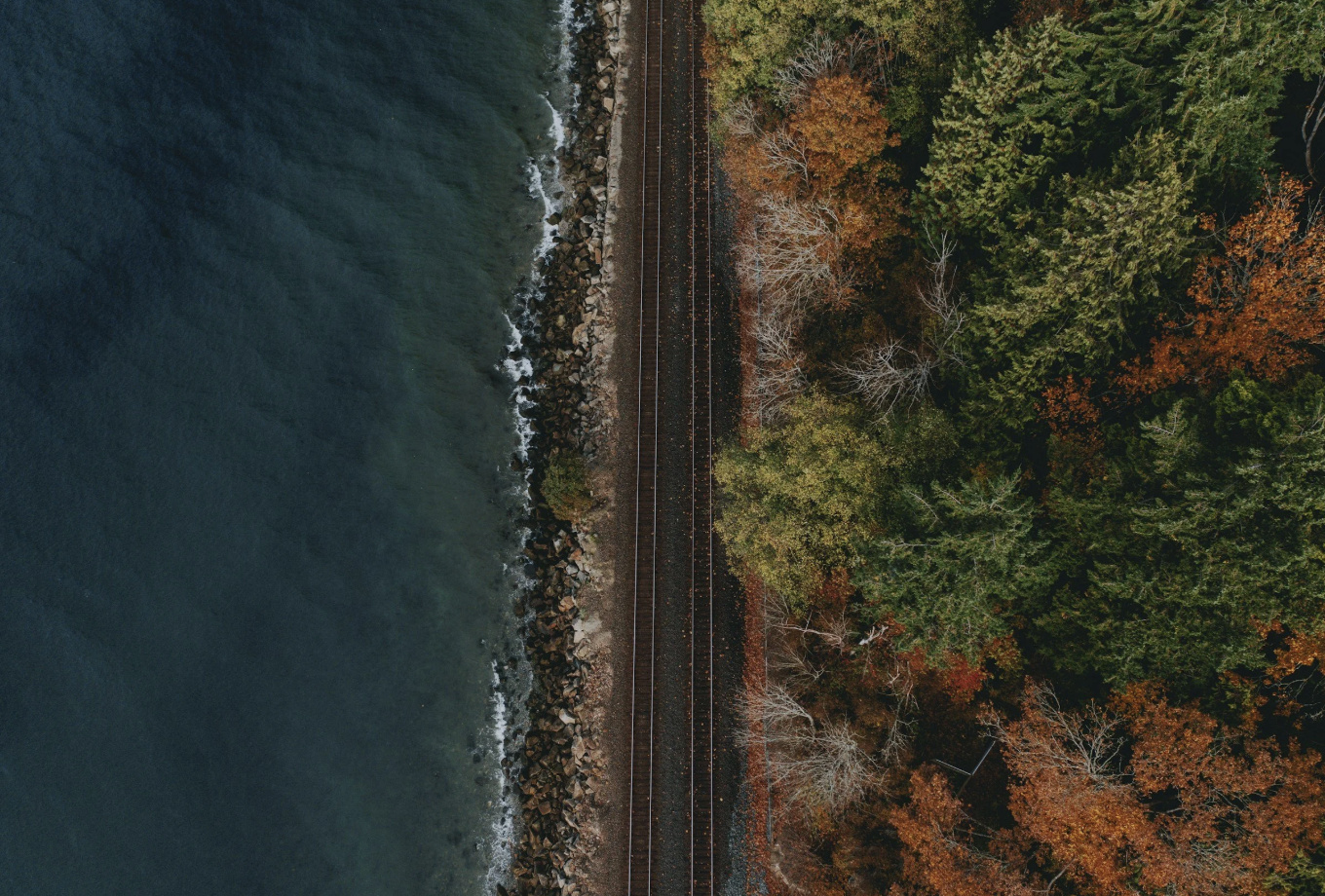 Newsletter [Feb 15-Feb 21]