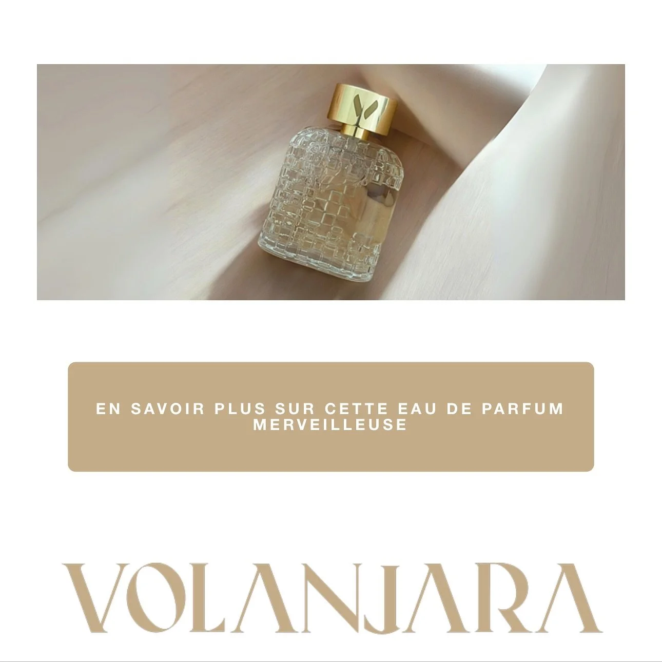 Pour tout savoir sur notre cr&eacute;ation en &Eacute;dition limit&eacute;e : https://www.volanjarafragrances.com/boutiqueofficielle 

1 senteur = 1 anecdote familiale 

#transparence #ingredients #anecdotes #senteurs #nature #fruits #fleurs #epices