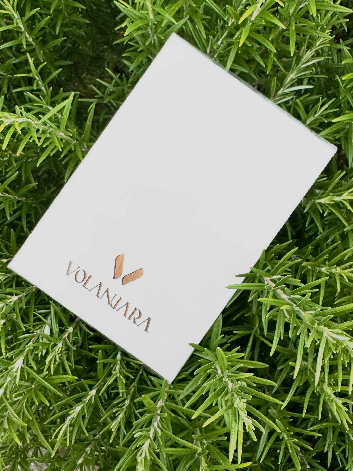 We feel in love in October&hellip;. 

#jardin #garden #volanjara #montpellier #madeinfrance #grasse #galimard #creation