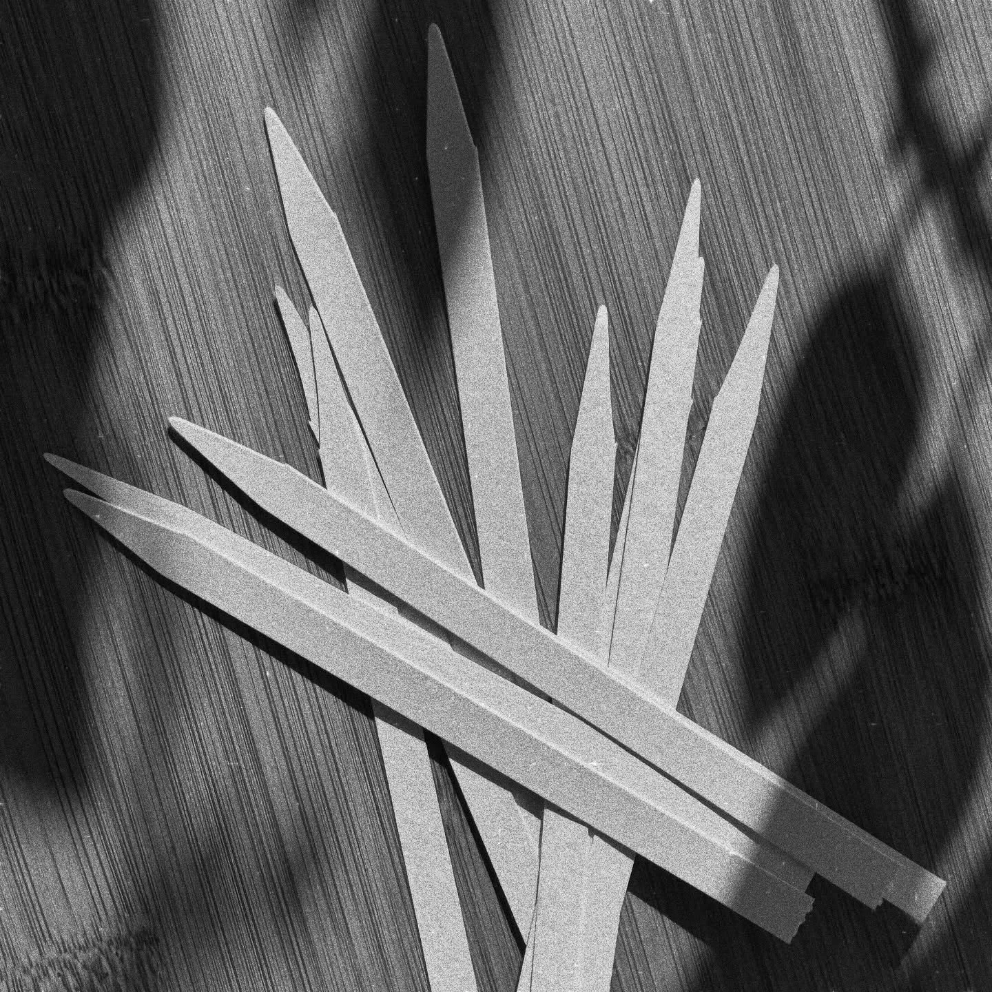 💡Peu de gens le savent, mais chaque parfum que vous portez aujourd&rsquo;hui est pass&eacute; un jour par&hellip; un simple morceau de papier.

Ce papier s&rsquo;appelle une mouillette olfactive ou &laquo; touche &agrave; sentir &raquo;. Il a &eacut