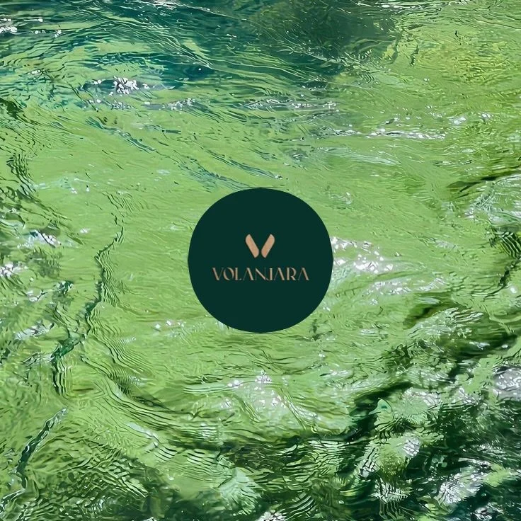 🍃Les colis rituels Volanjara ou comment se mettre au vert l&rsquo;espace d&rsquo;un instant 🍵

#rituel #volanjara #coffret #green #nature
