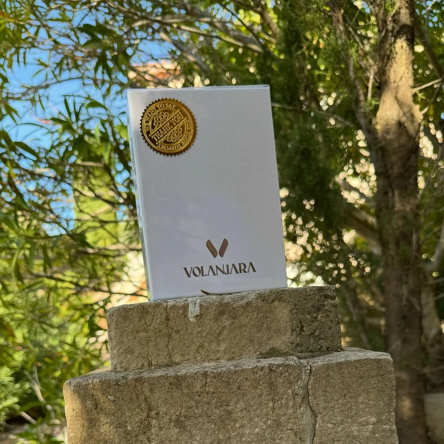 🌳 En direct du Jardin de la Maison Volanjara. Suivez-nous en live sur notre canal pour tout savoir des news, des &eacute;v&egrave;nements botaniques et de codes promos en provenance de notre petit paradis dans la r&eacute;gion de Montpellier 

#join