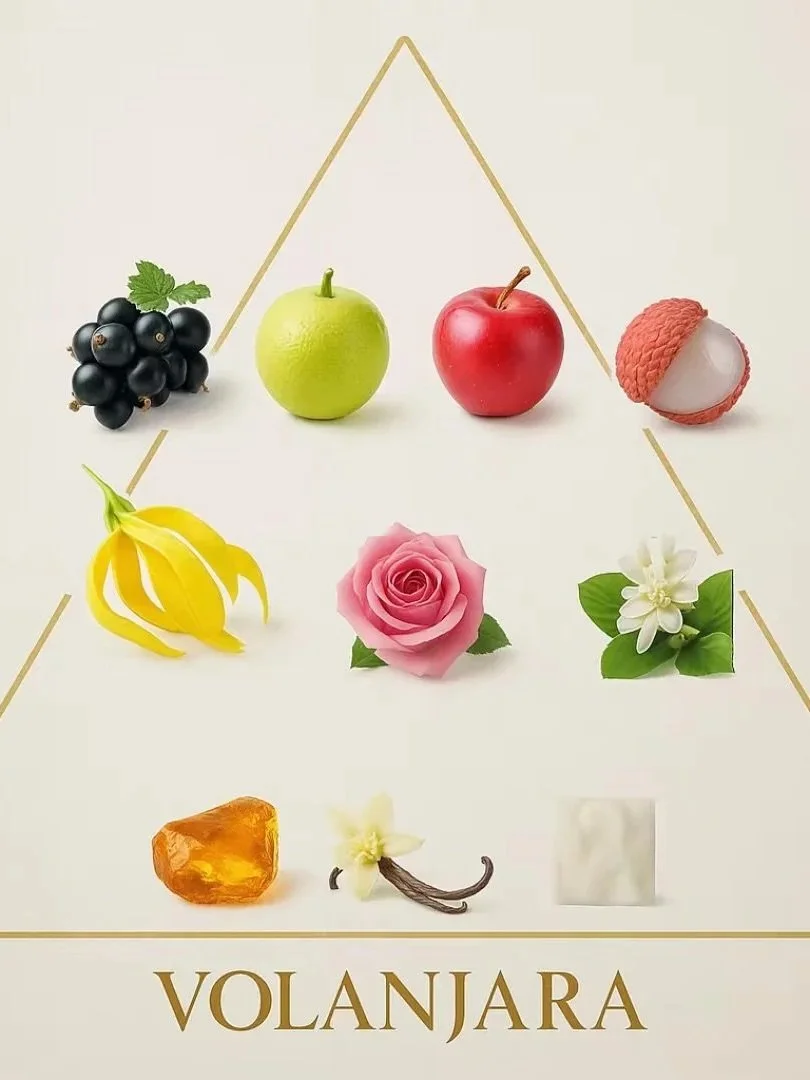 Pyramide des notes de tête, de cœur et de fond de l'Eau de Parfum Volanjara.