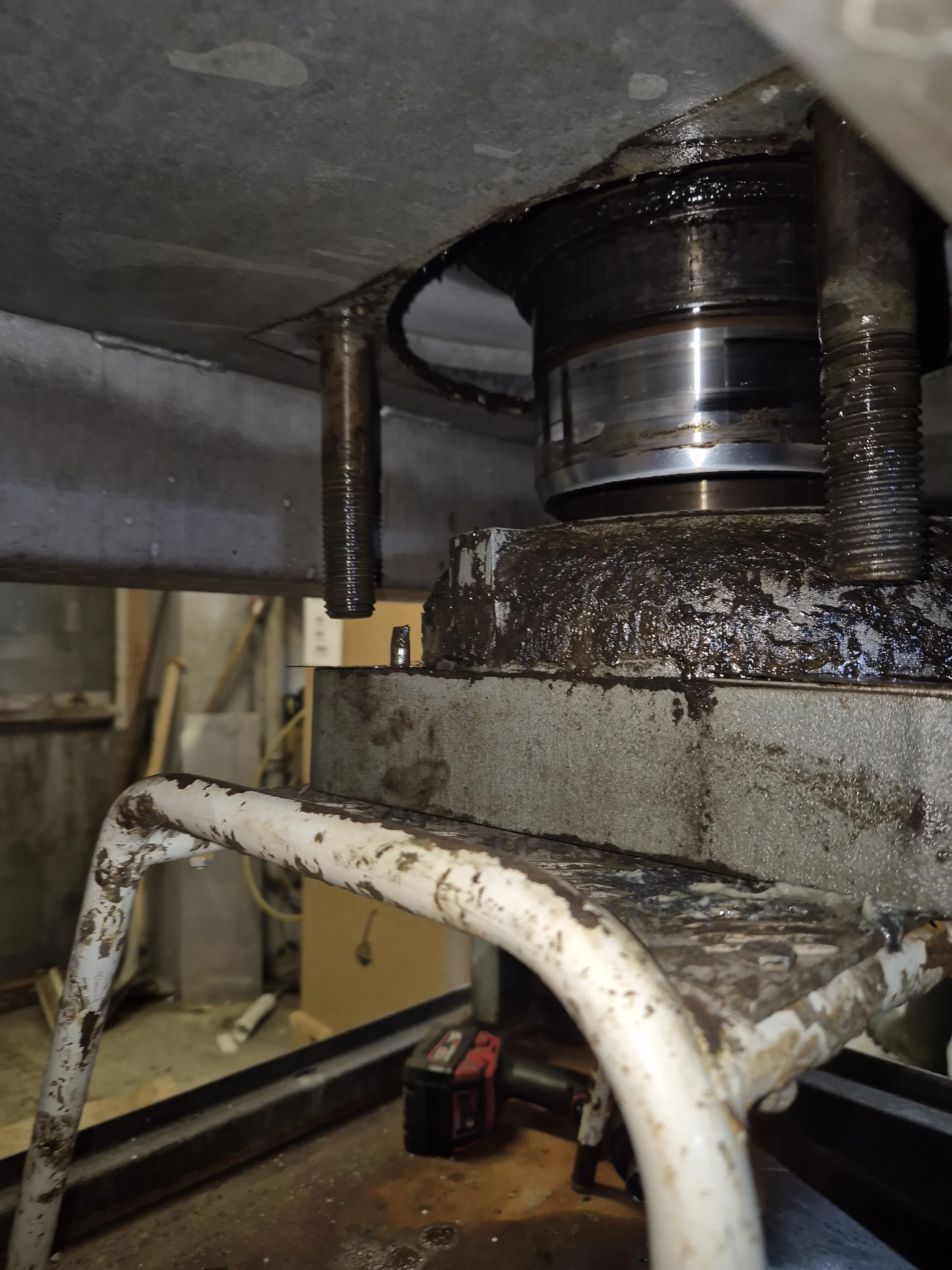 20250211_171554 (1).jpg