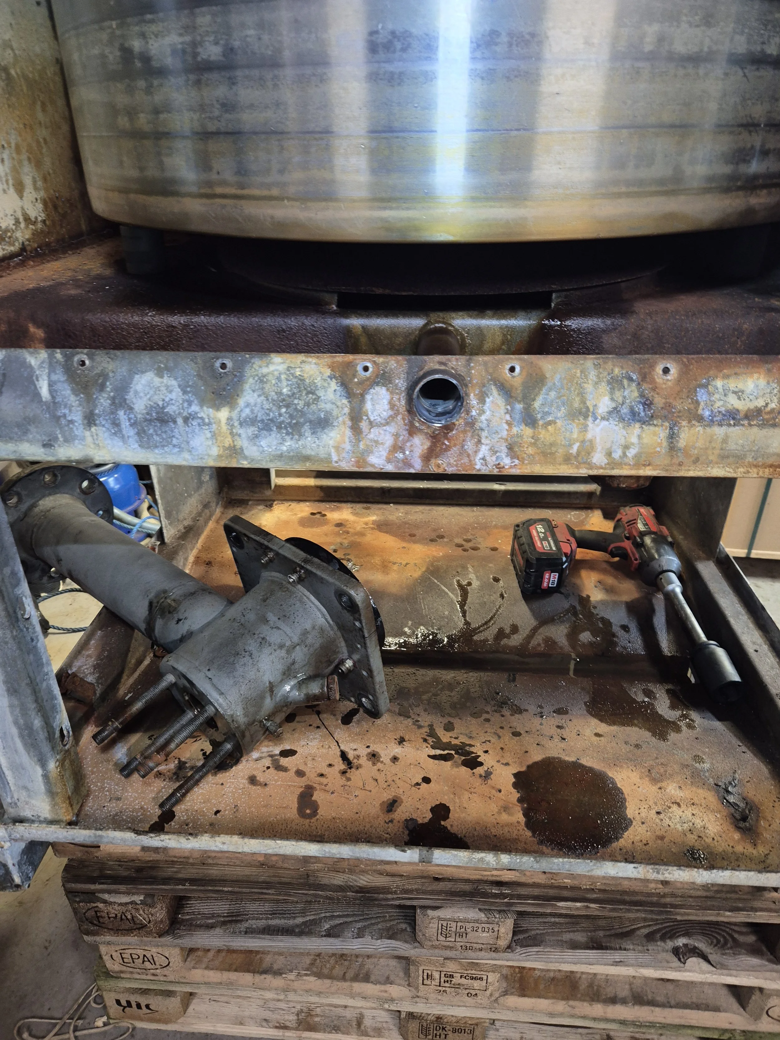 20250211_155556 (1).jpg