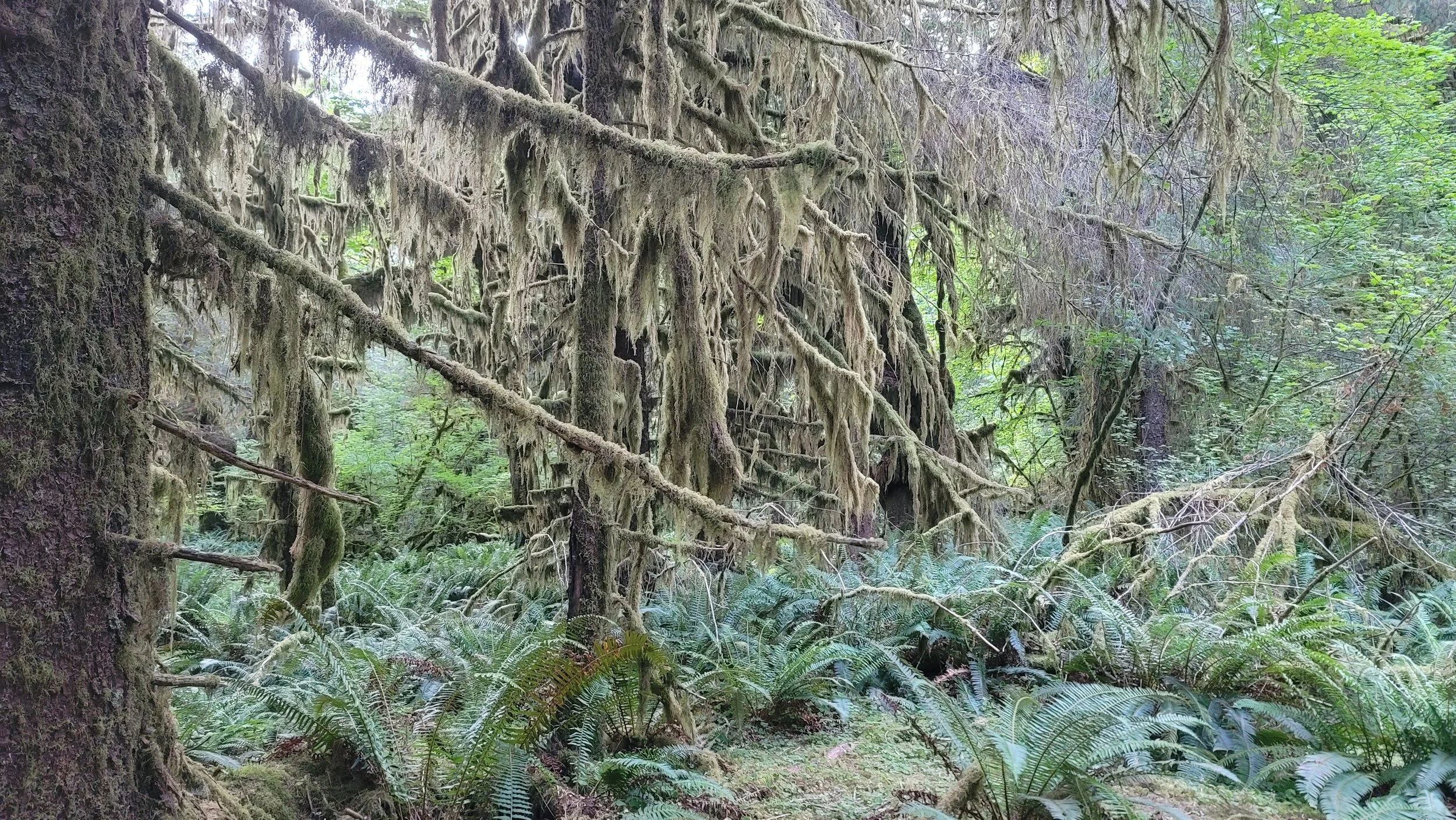 20240802_195519.jpg