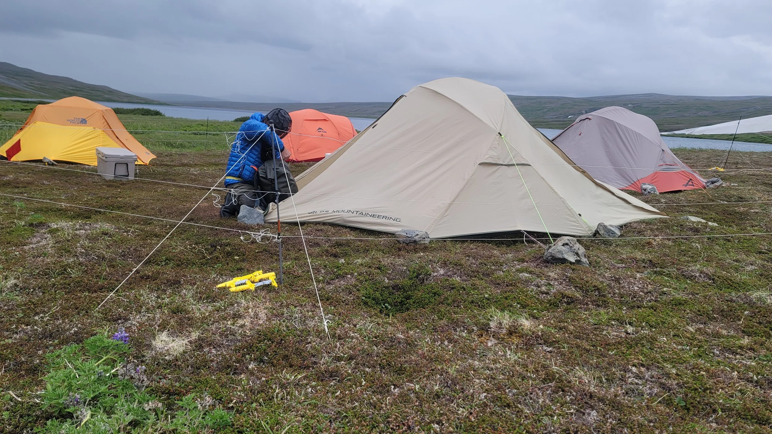 tent with electric fence.jpg
