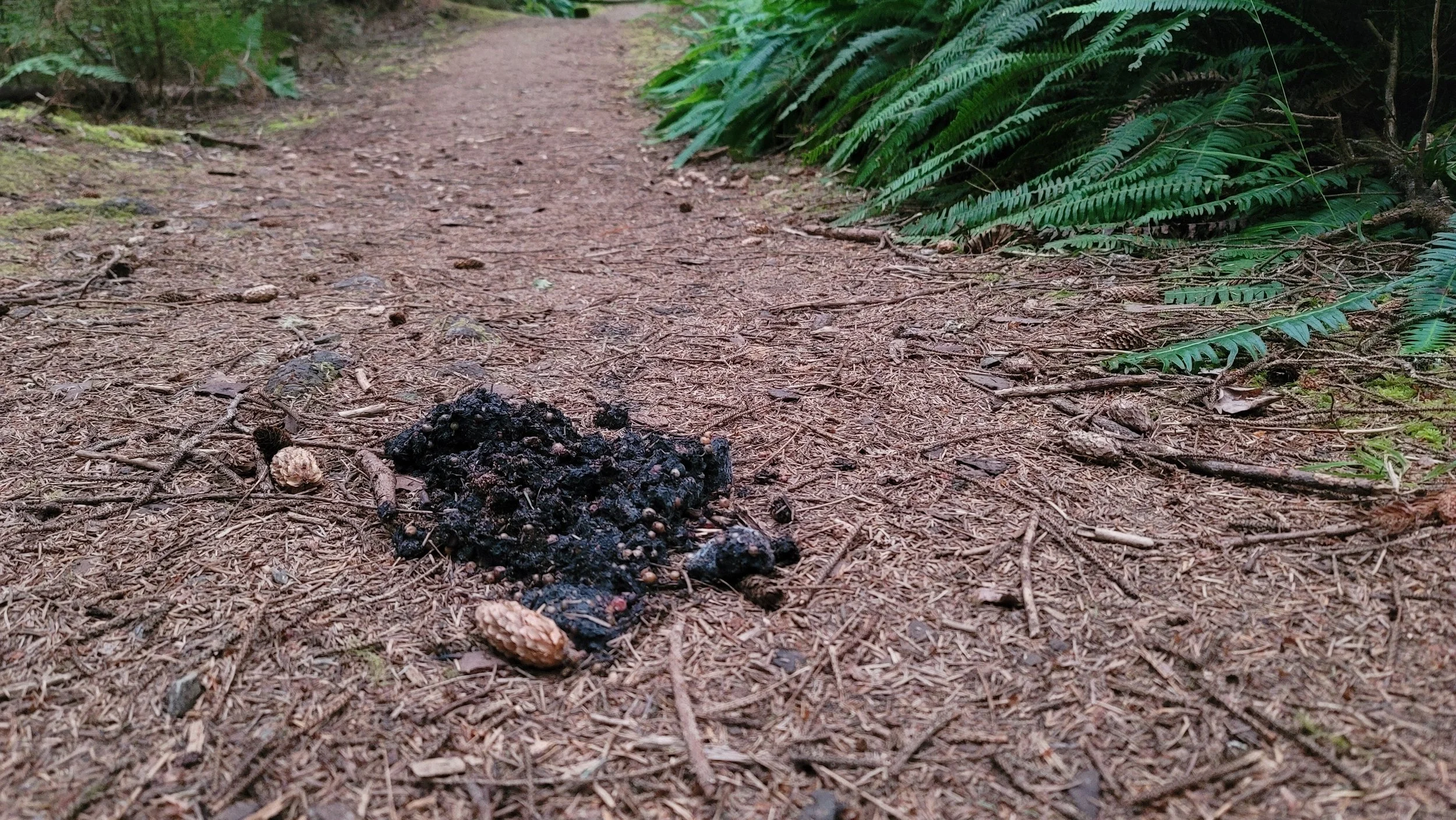 20240817_072812.jpg