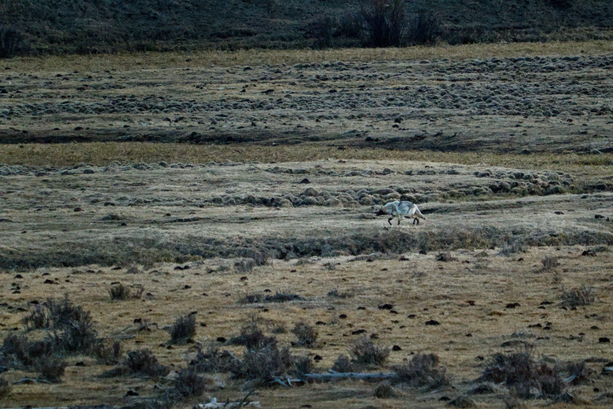A1_09775.jpg