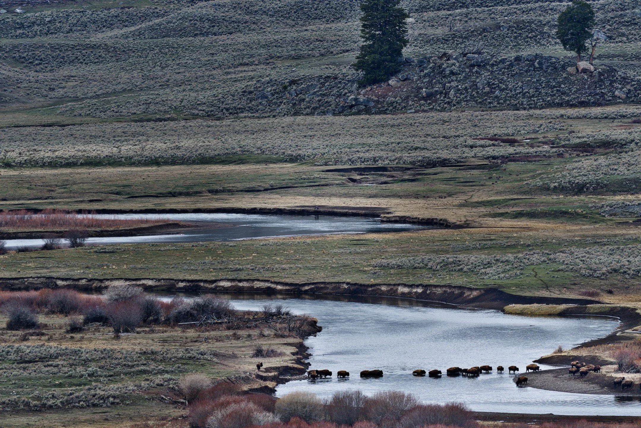 A1_02543.jpg
