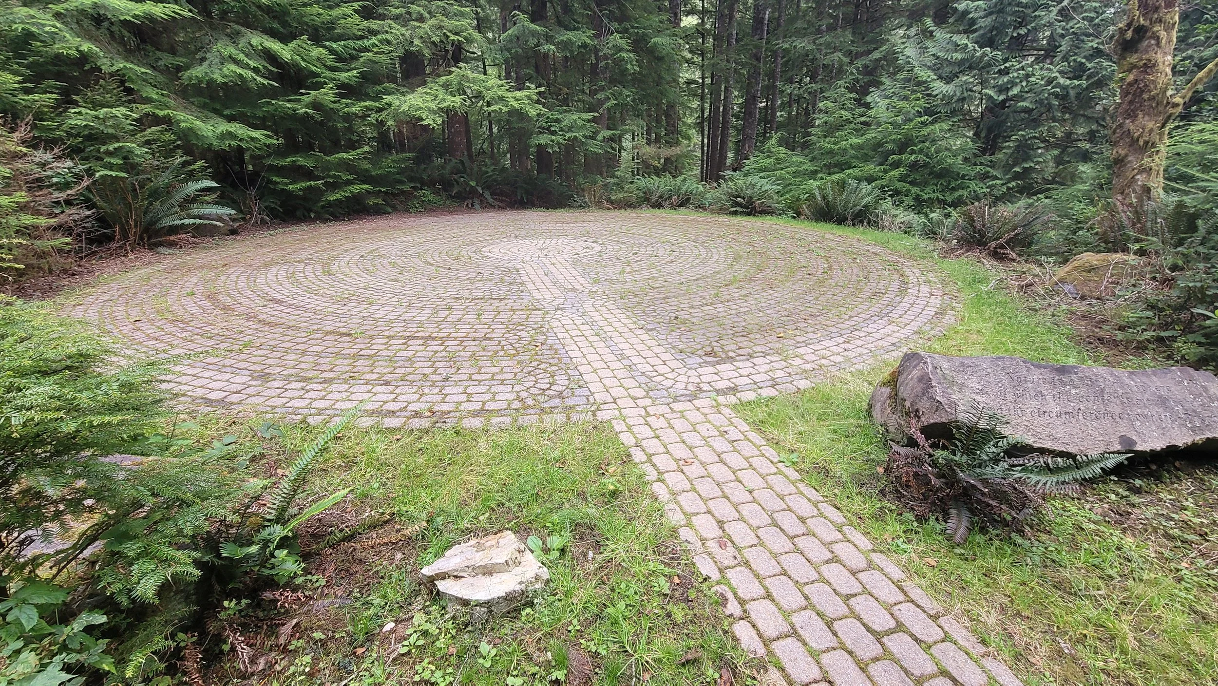 20240804_092048.jpg