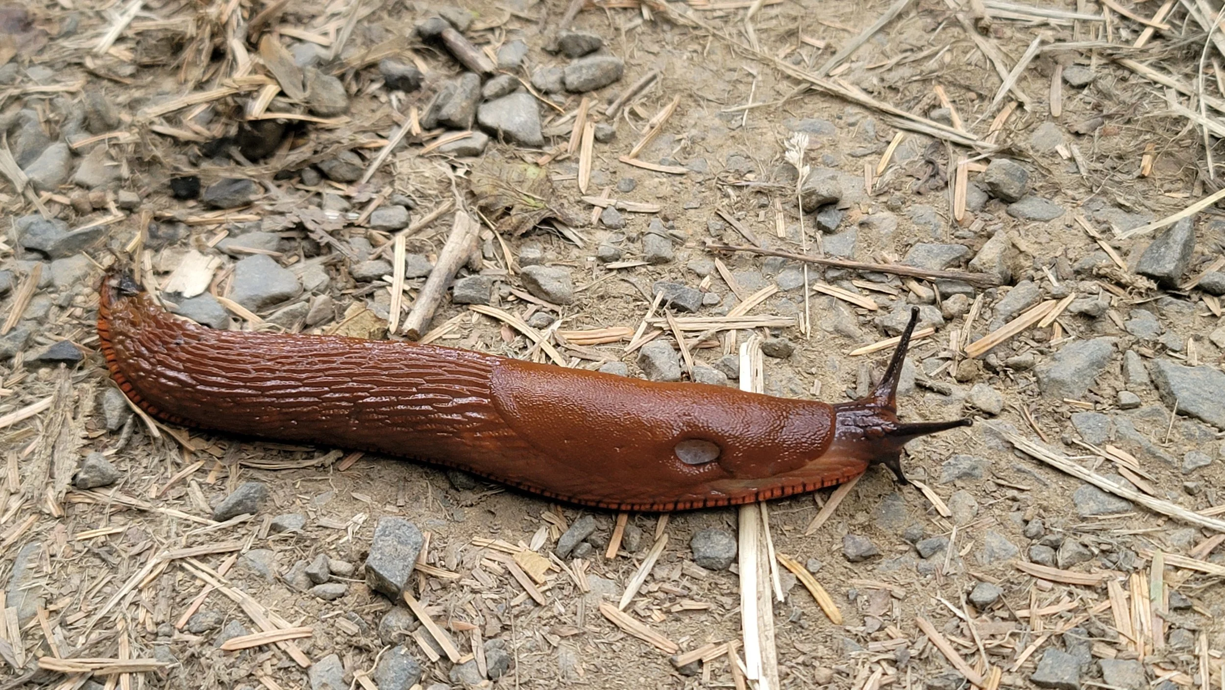 20240805_072643.jpg