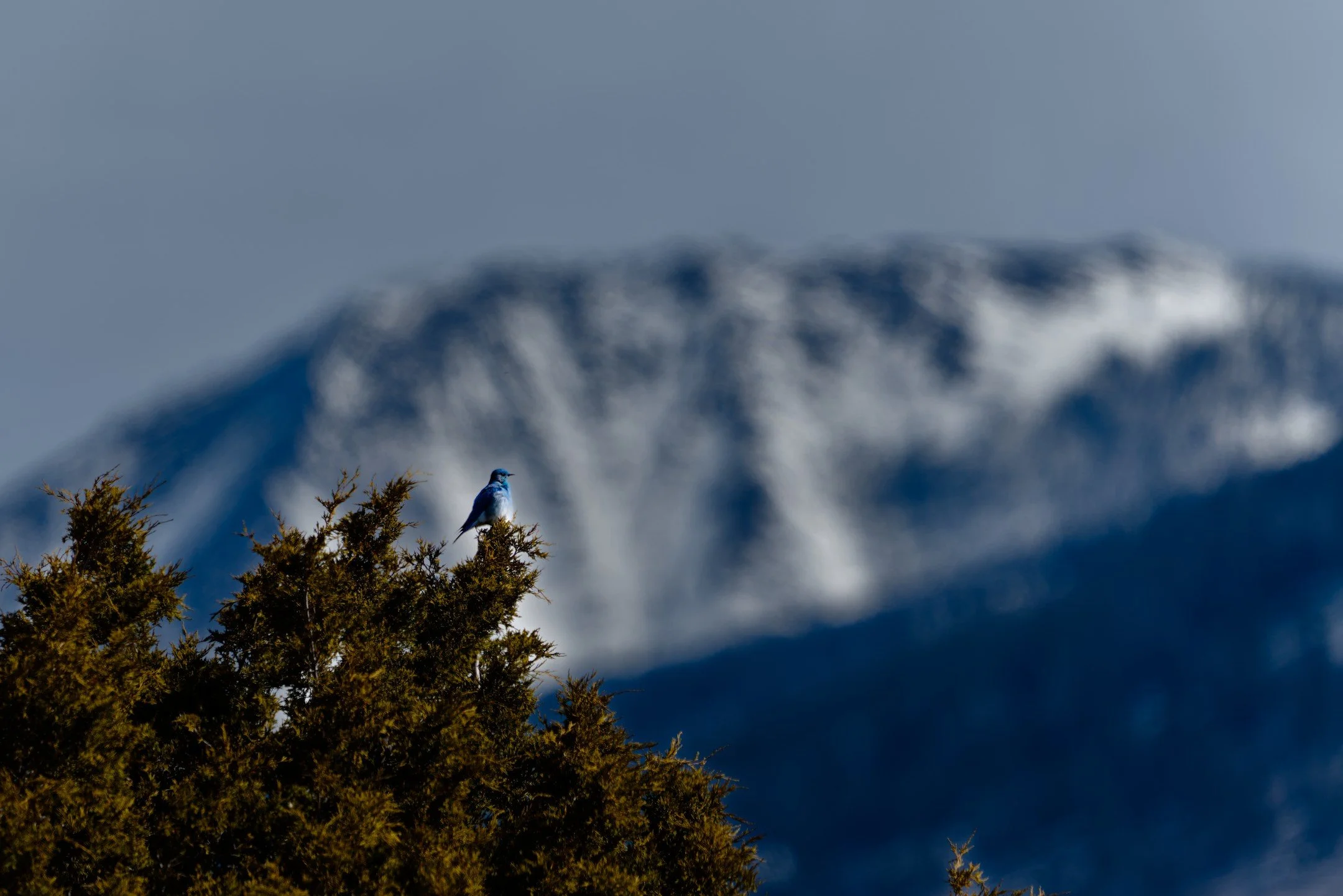 A1_08056.jpg