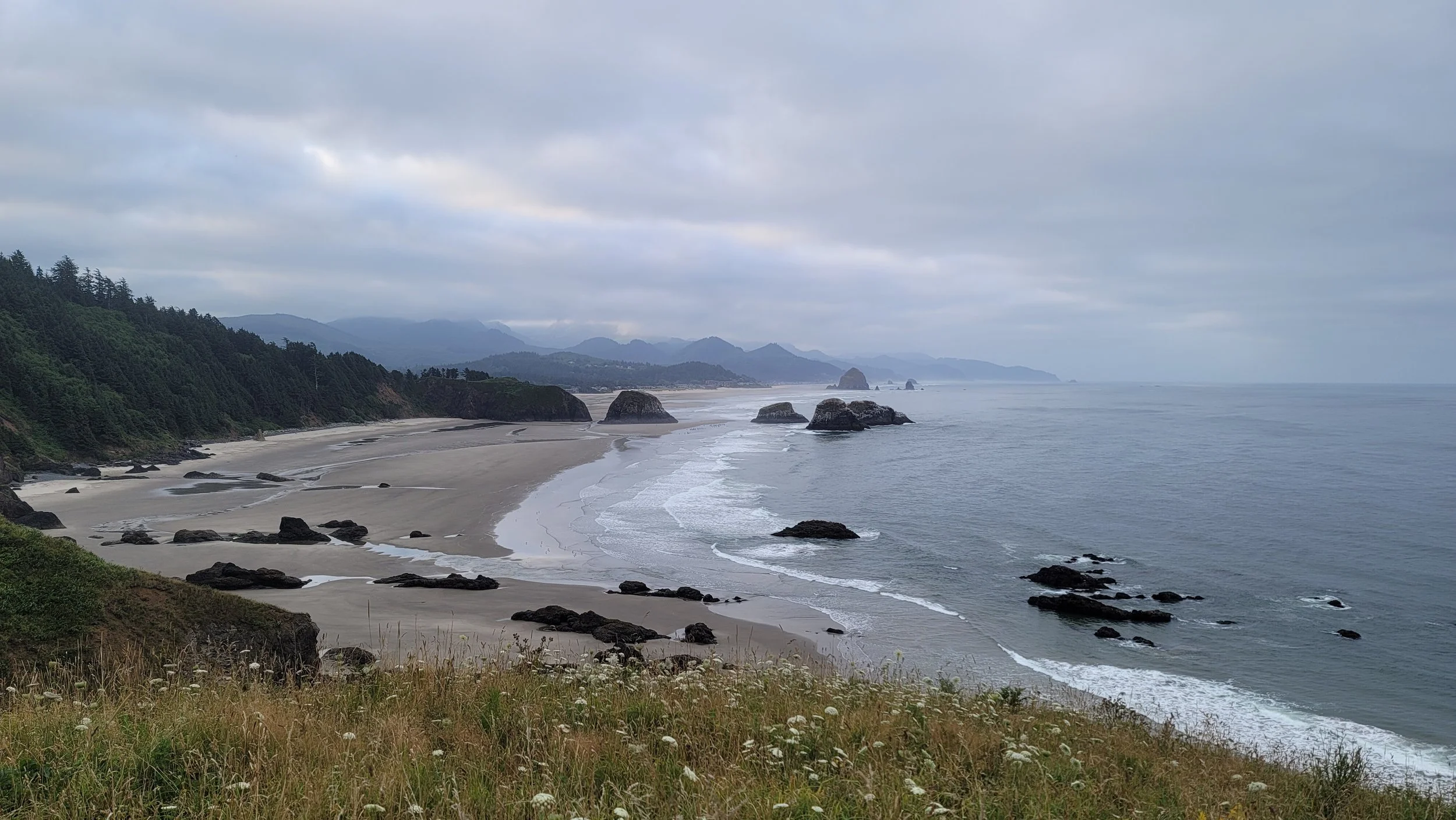 20240805_070659.jpg