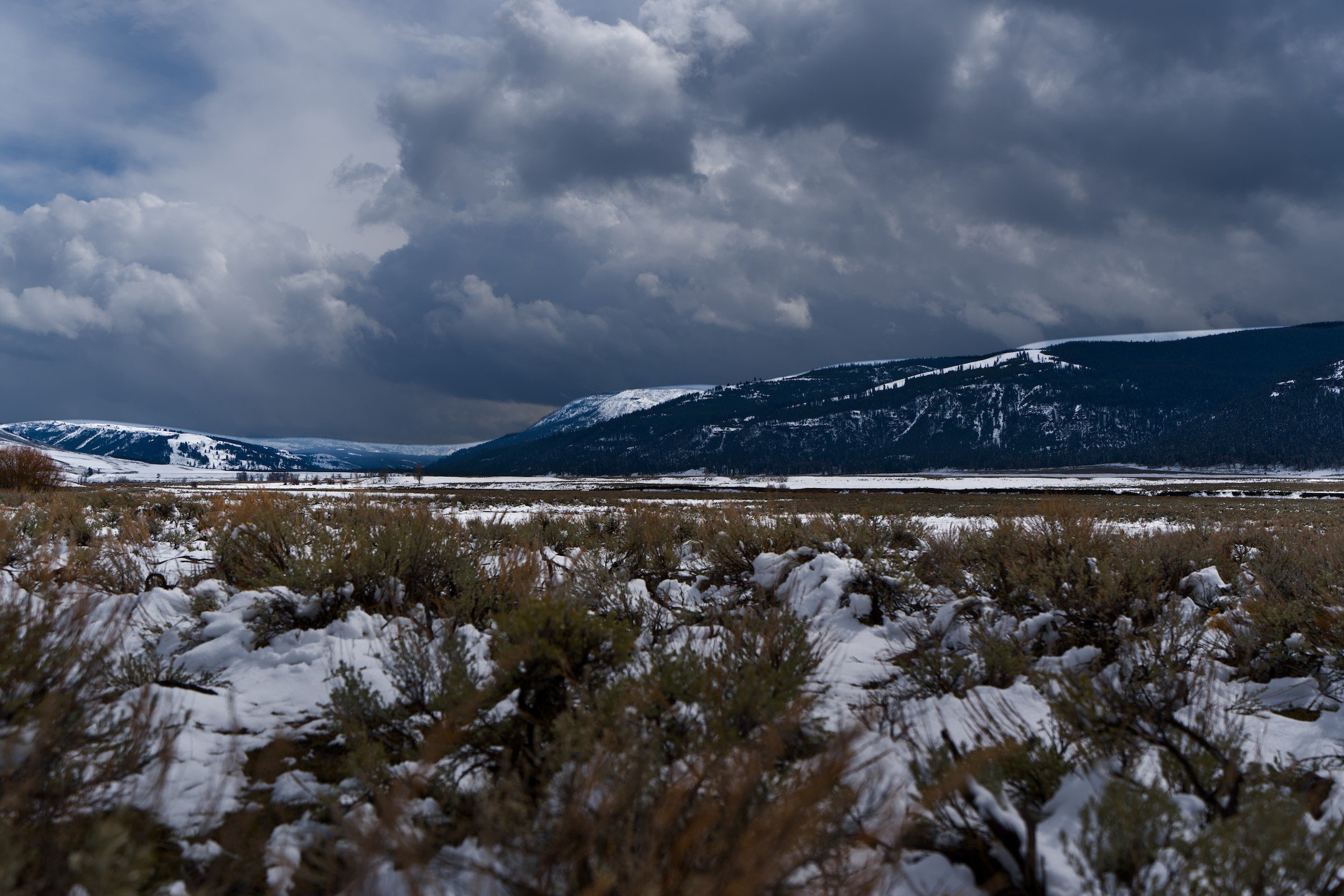 A1_02146_01.jpg
