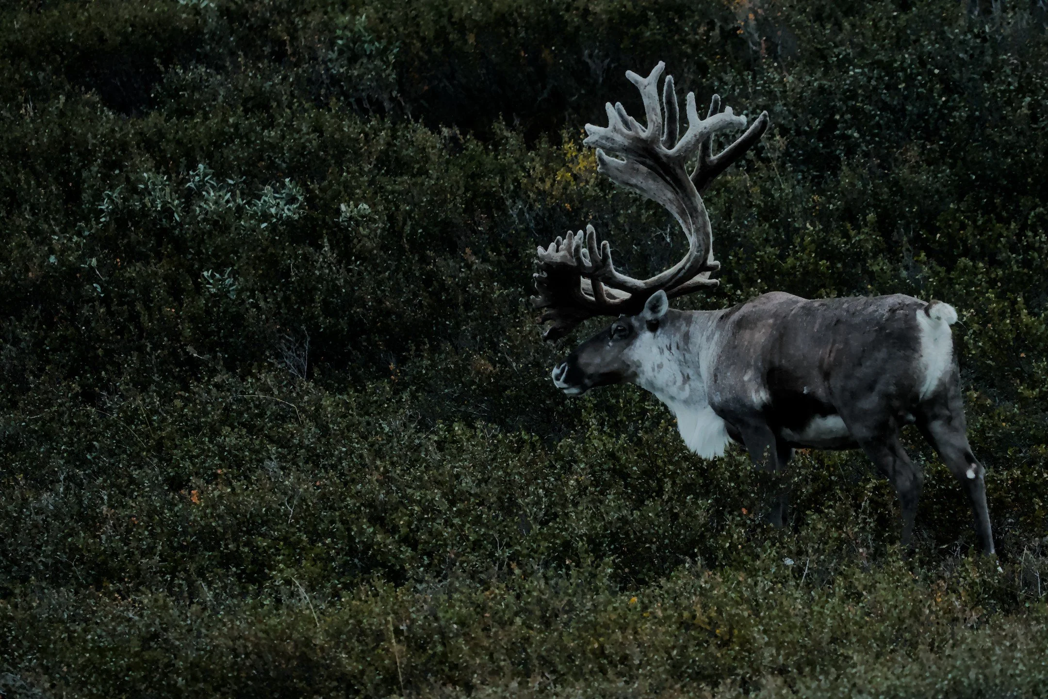 A1_02002.jpg