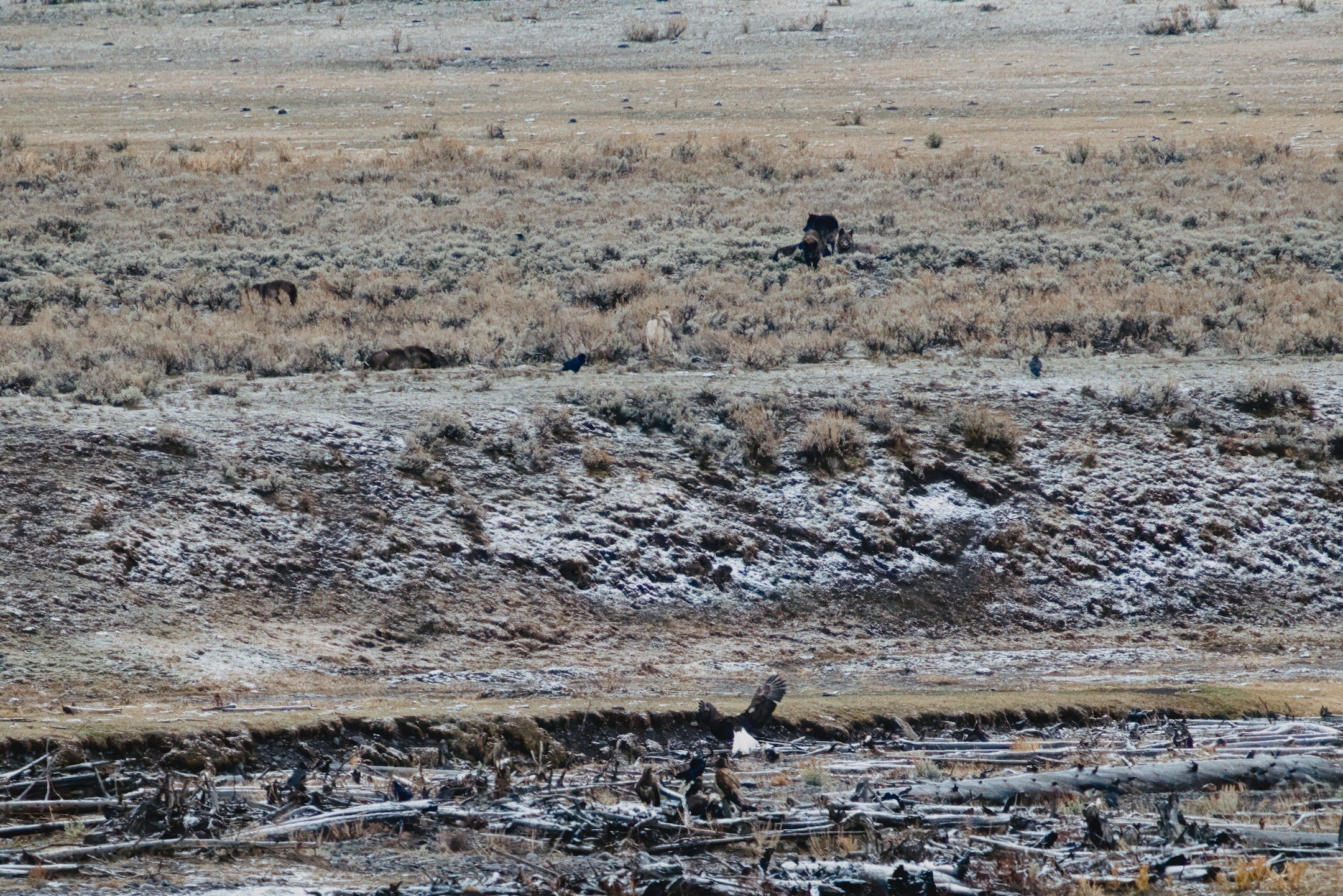 A1_03070_denoise.jpg