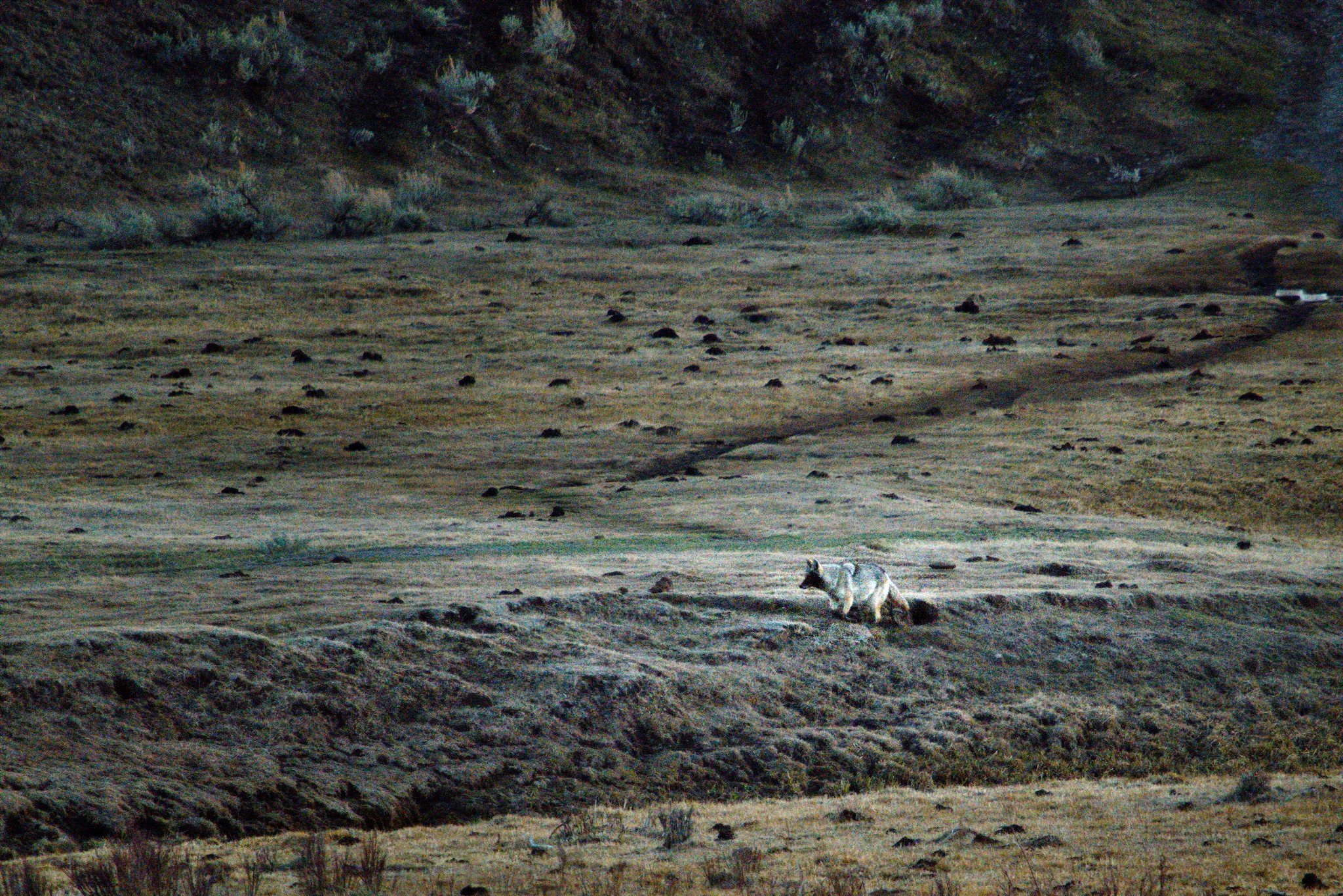 A1_09803.jpg