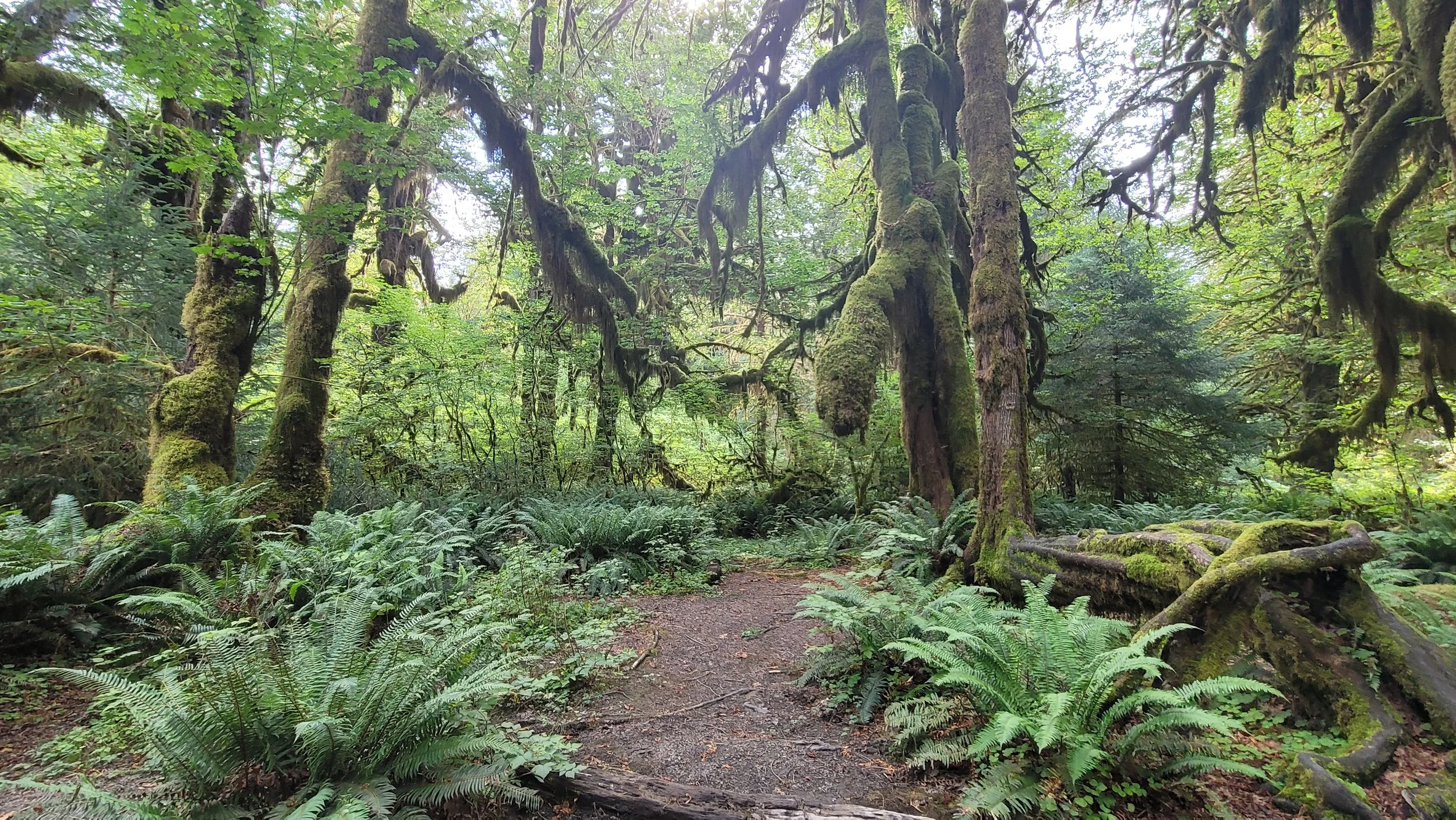 20240802_102459.jpg