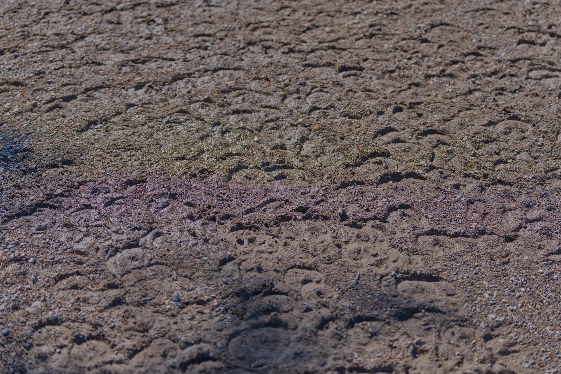 A1_06191.jpg