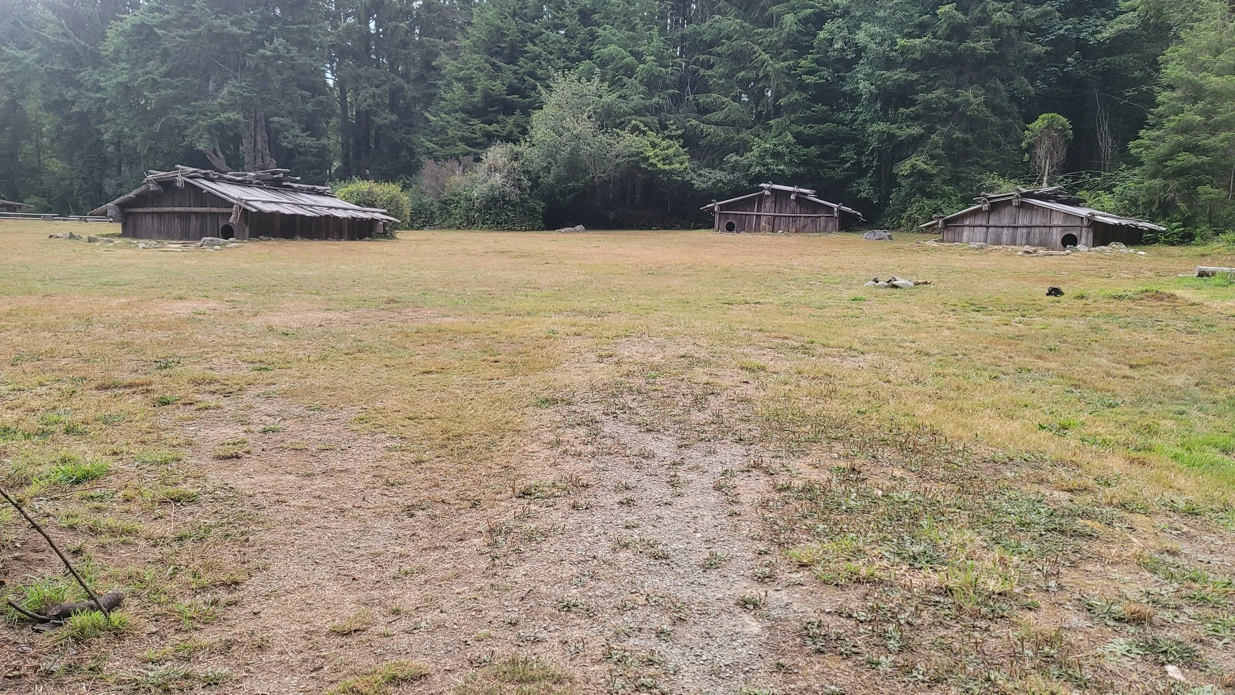 20240817_070856.jpg