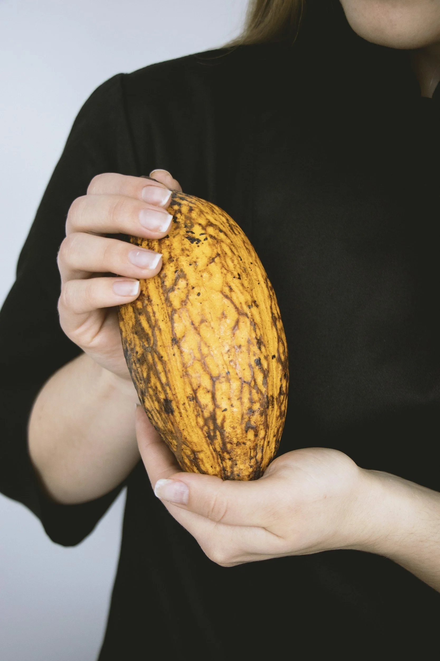 Person holding a large, yellow and brown marbled cacao pod.